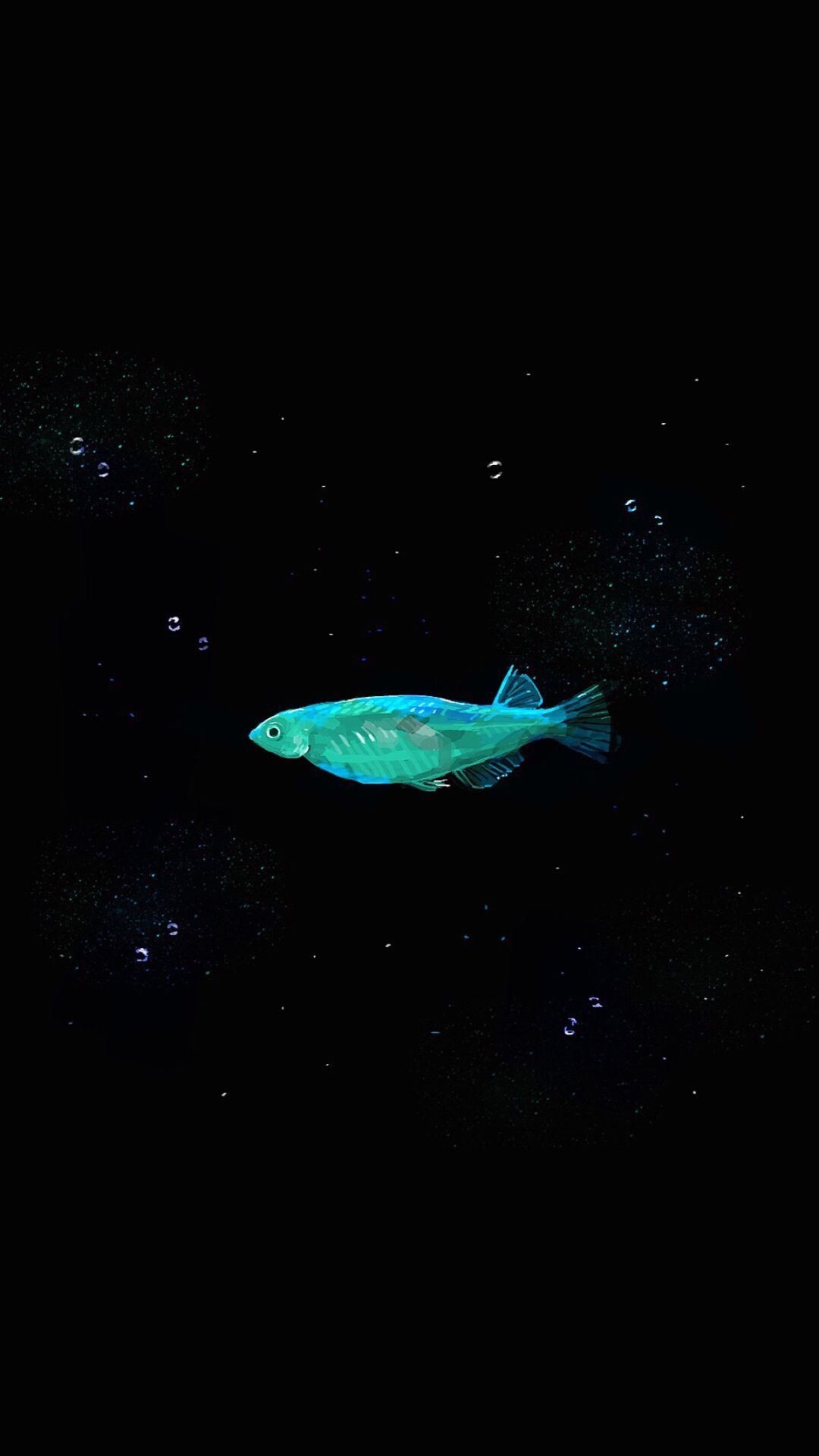 A glowing blue fish swims in darkness HD Phone Wallpaper
