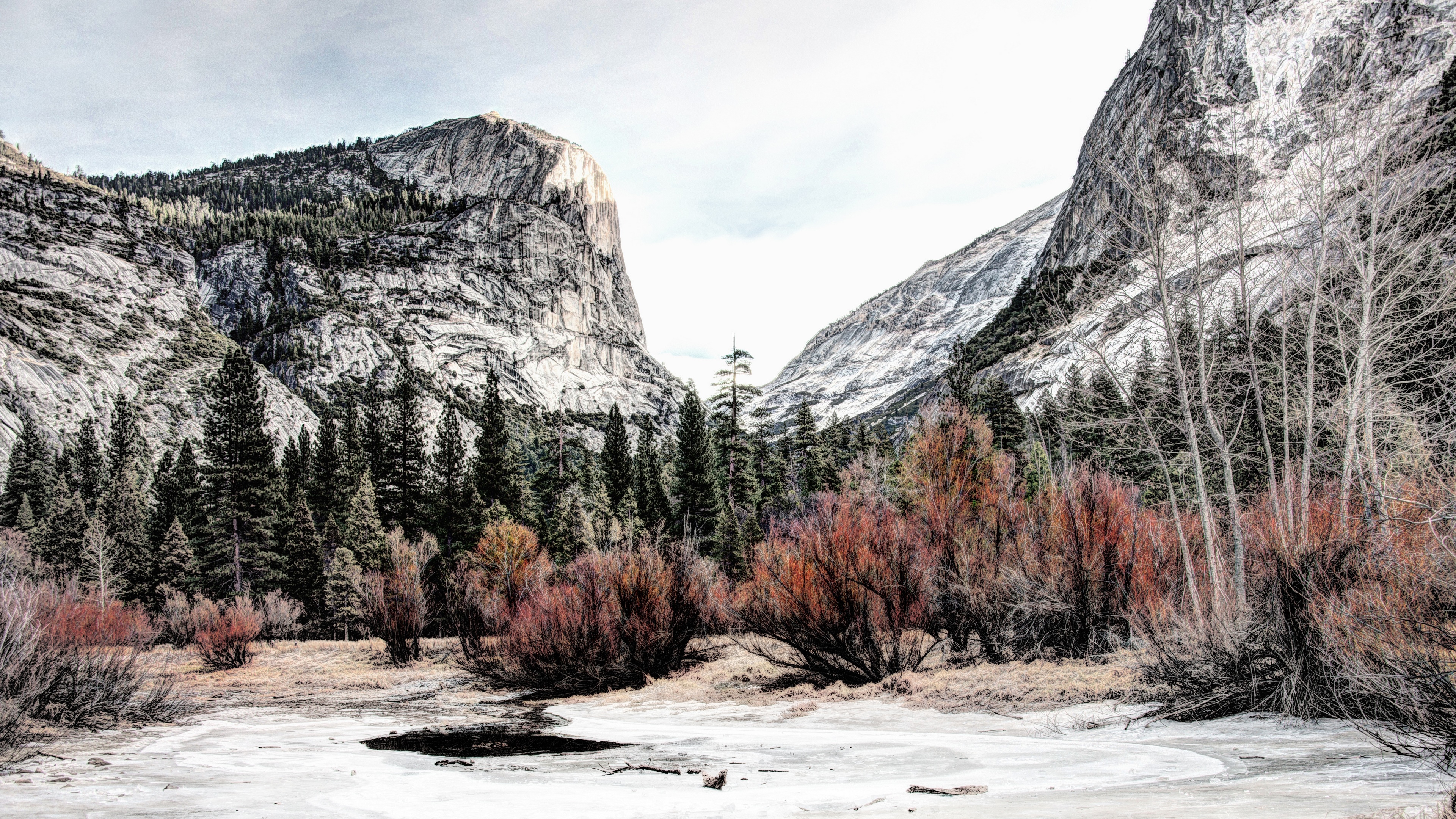 Yosemite Valley mountains and trees in winter HD Wallpaper