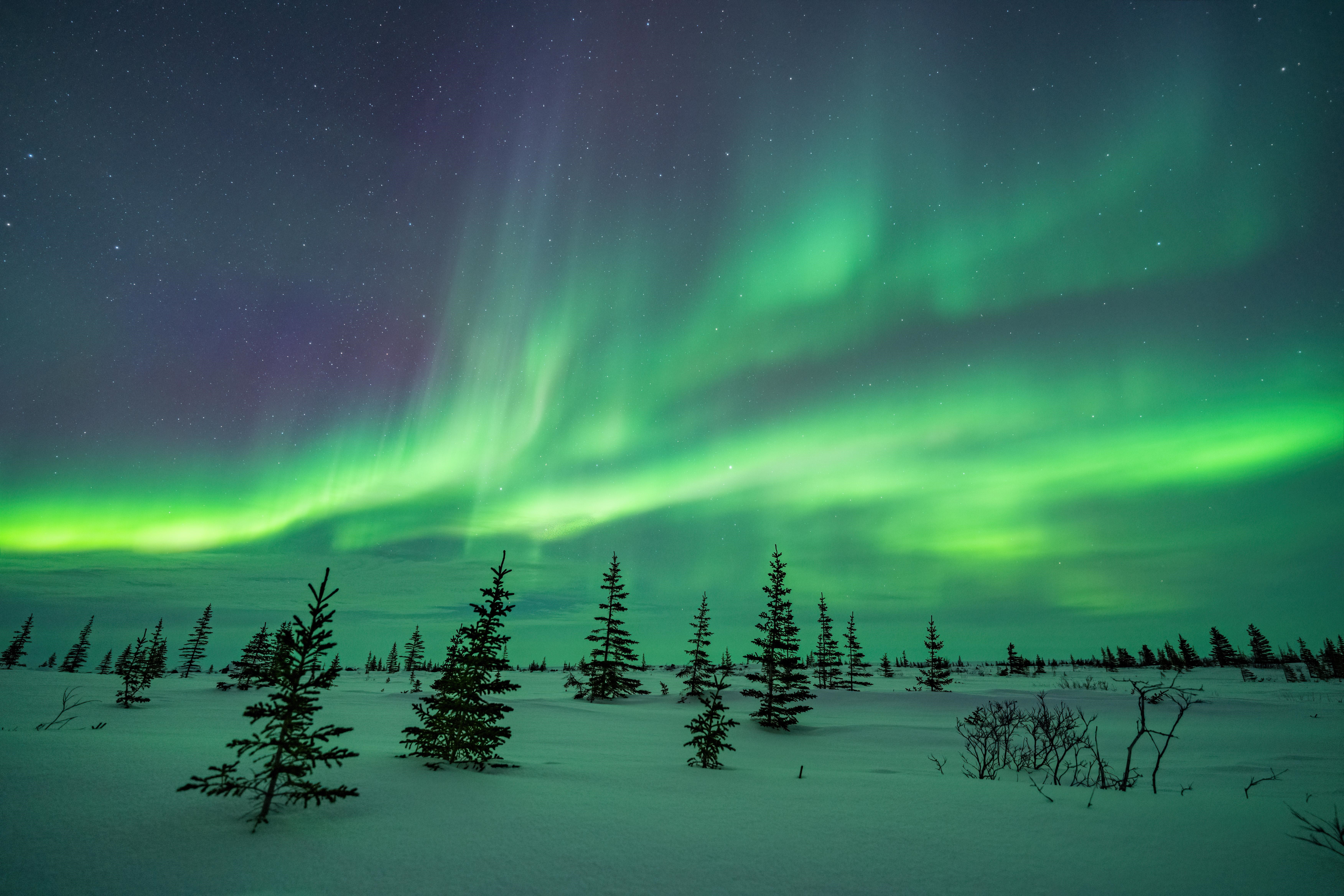 Aurora Borealis over snowy landscape in Canada HD Wallpaper