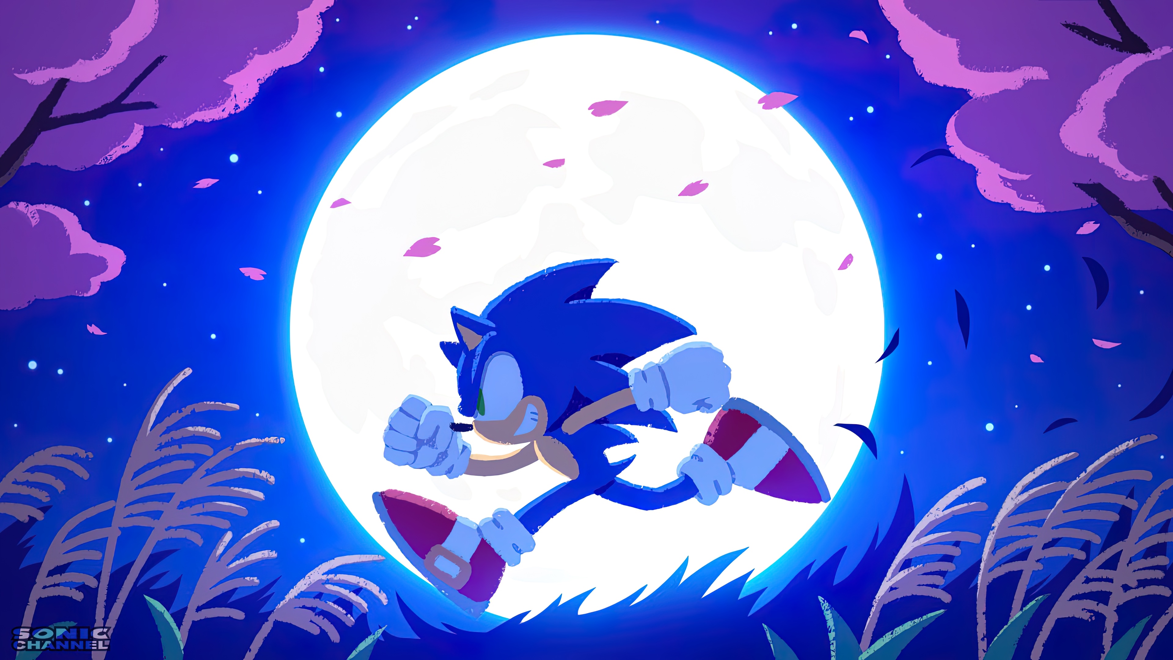Sonic the Hedgehog running under a large moon HD Wallpaper