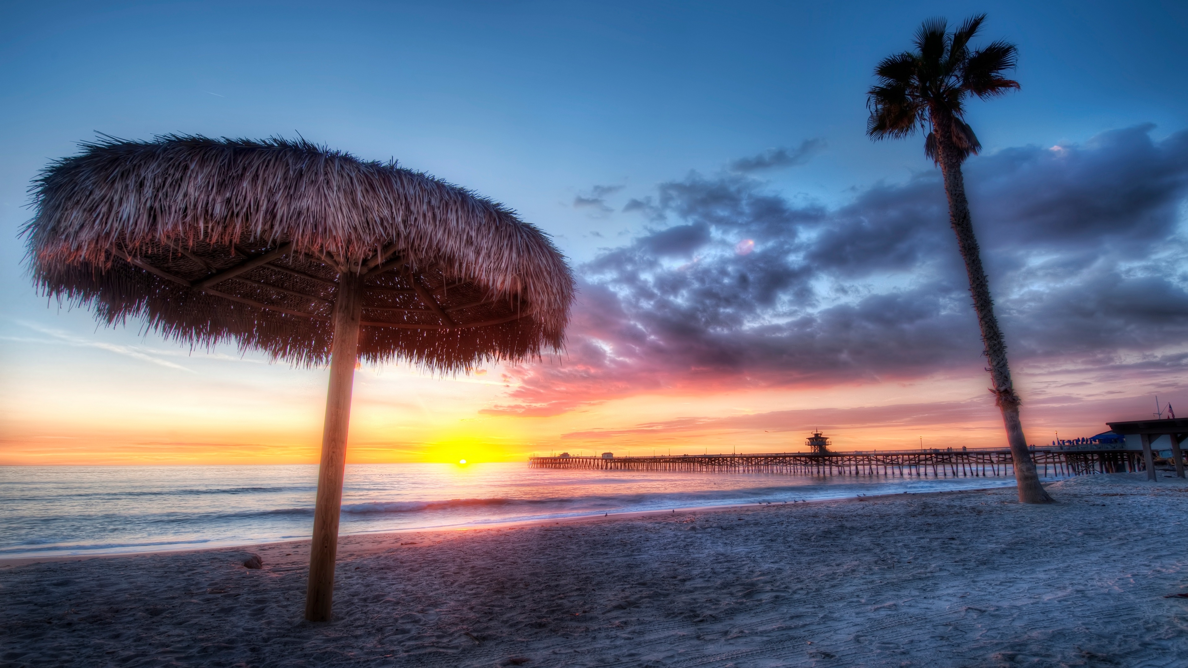 4K California Beach Sunset with Pier and Palm Tree HD Wallpaper