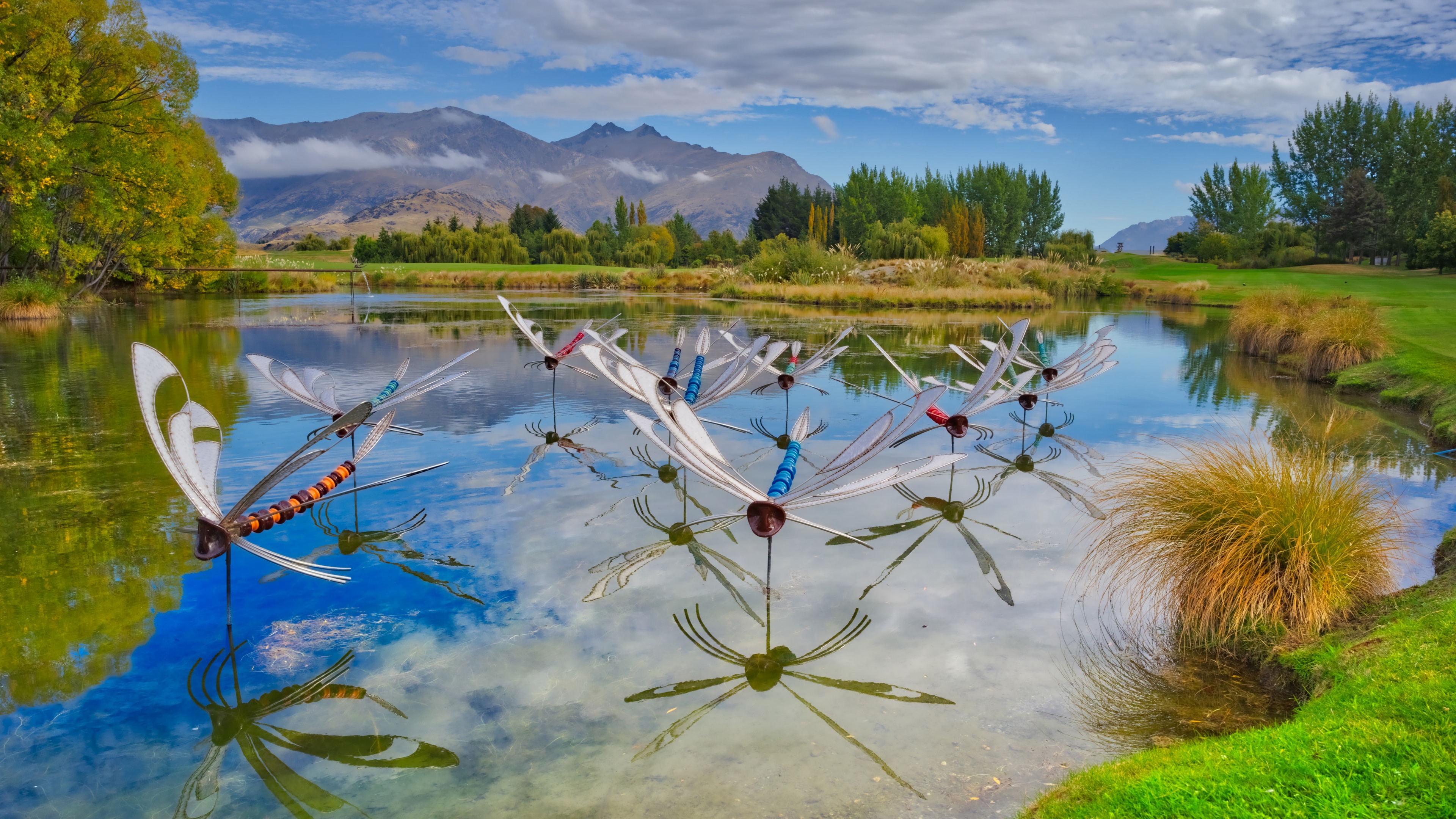 Dragonfly sculptures on a lake in New Zealand HD Wallpaper