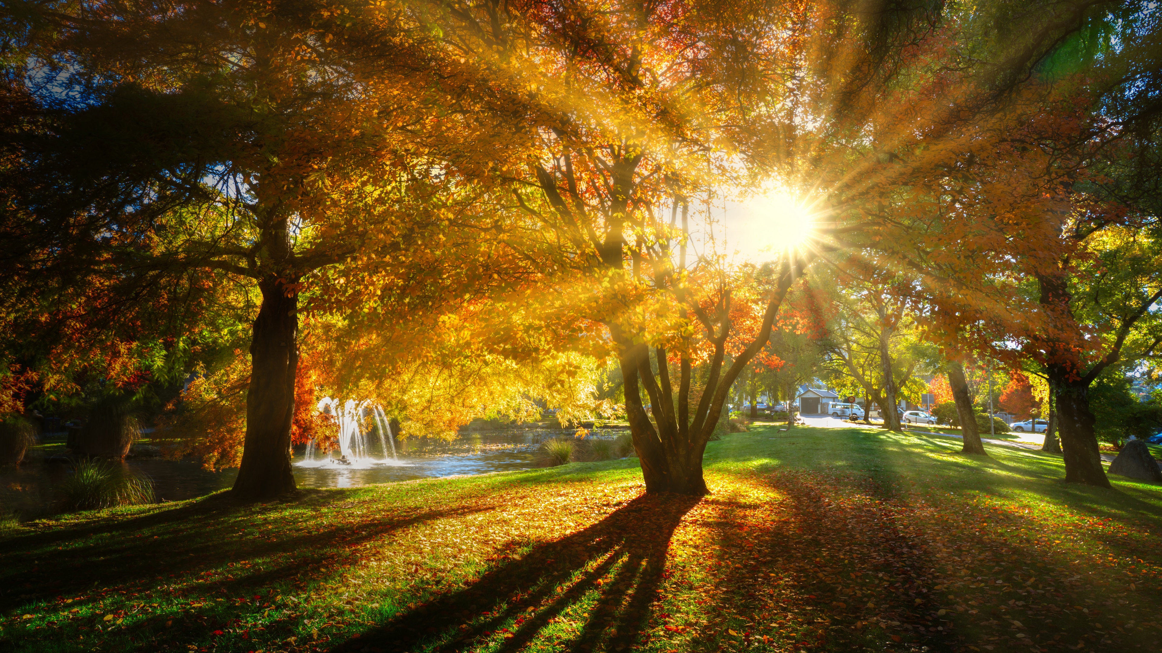 4K New Zealand Autumn Park with Sun Rays HD Wallpaper