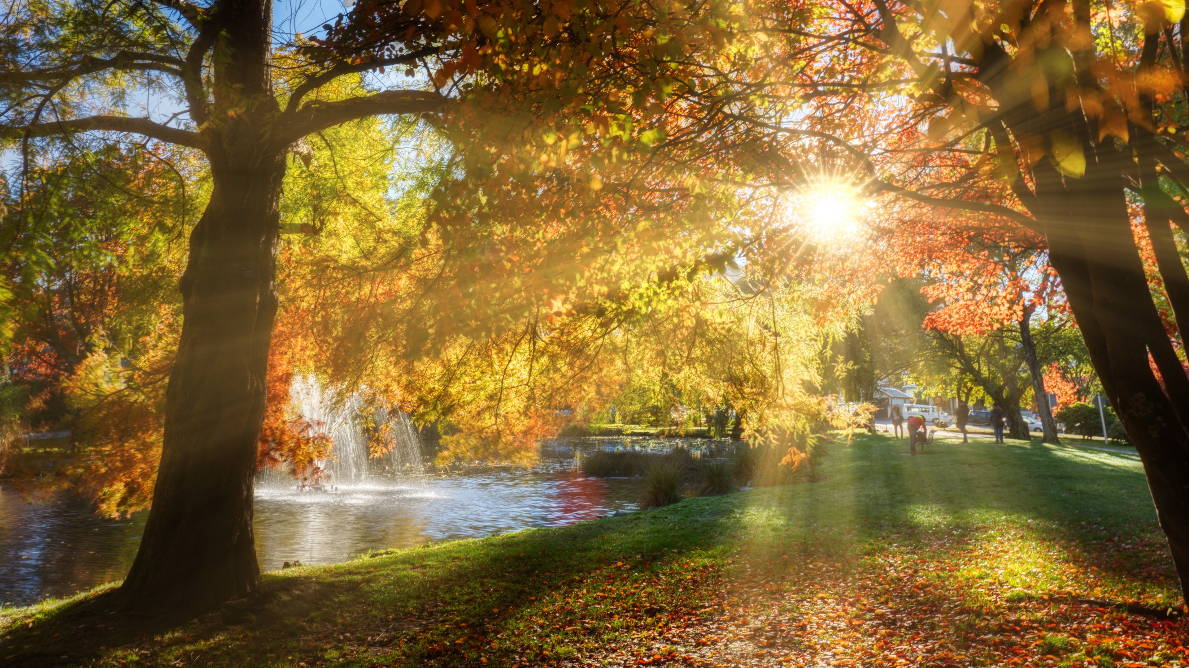 Autumn park with fountain and sun rays in New Zealand HD Wallpaper