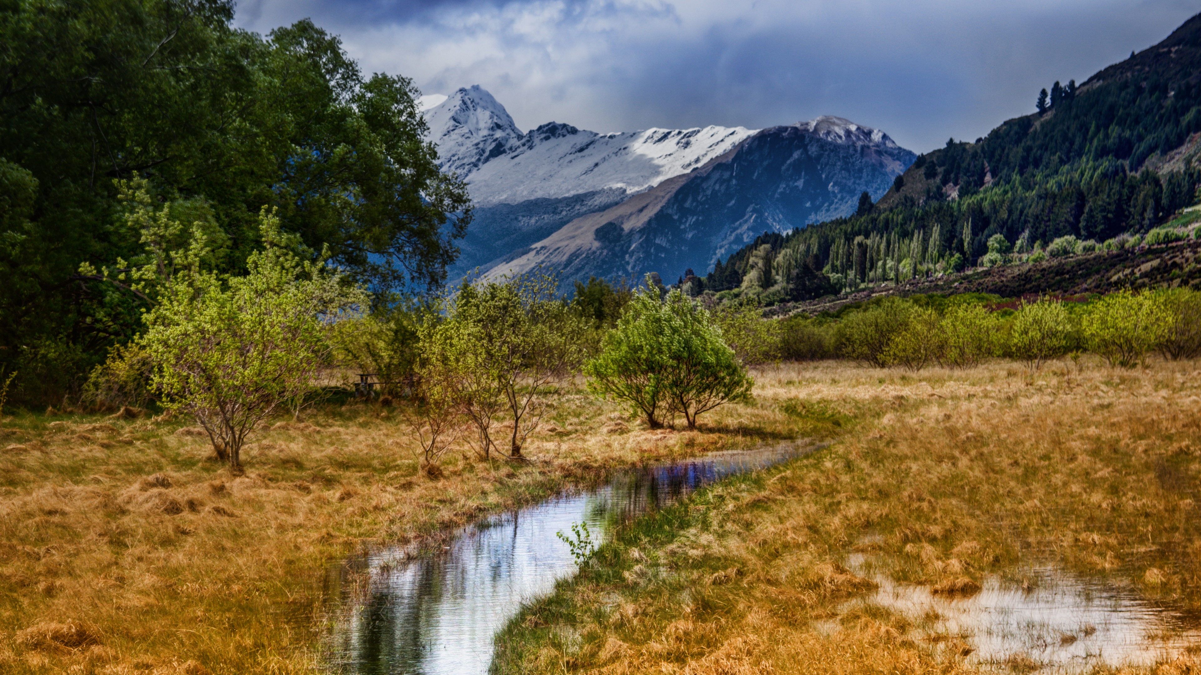 4K landscape of snowy mountains and trees in New Zealand HD Wallpaper