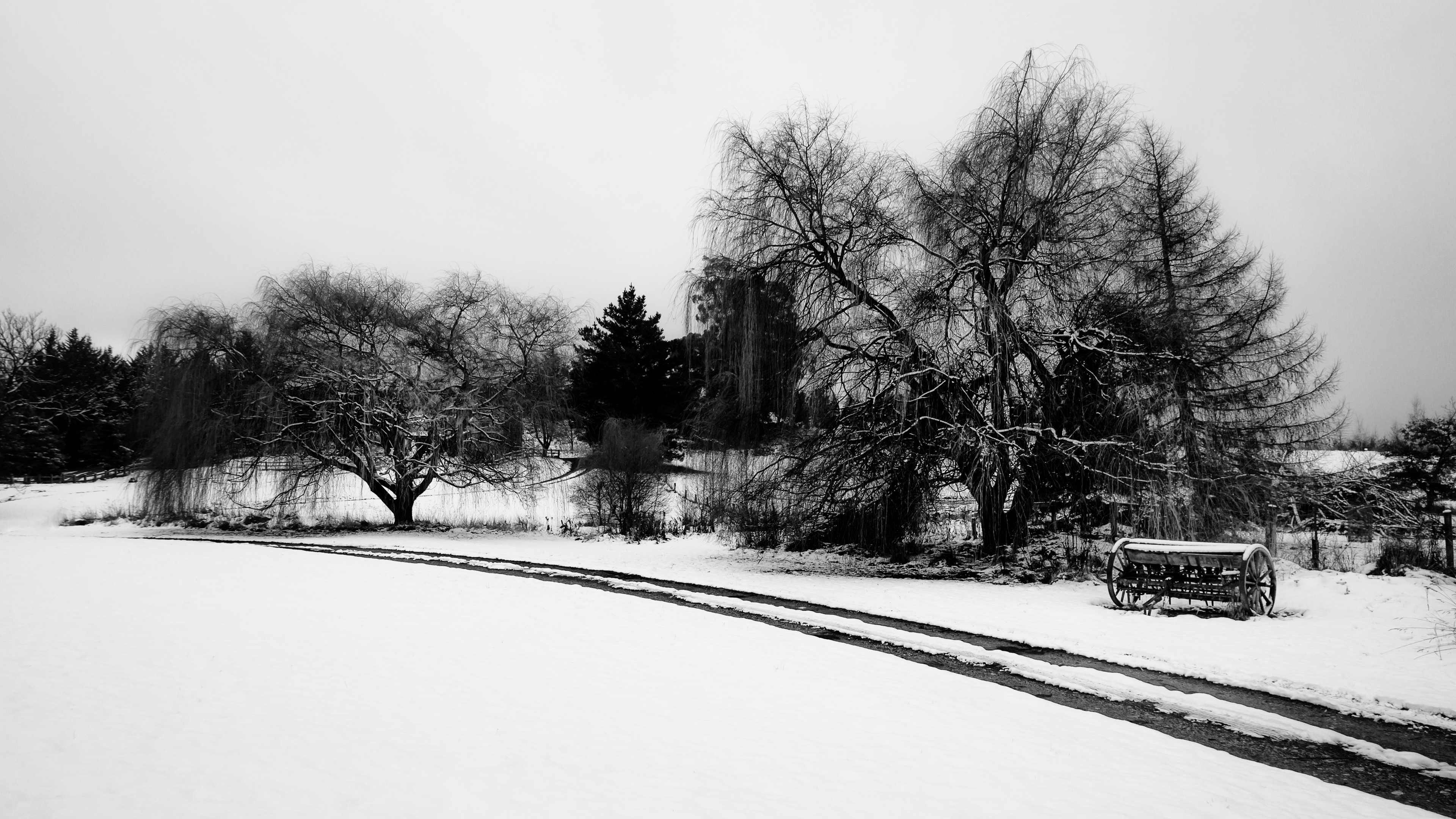 4K snow landscape with trees and a path in New Zealand HD Wallpaper