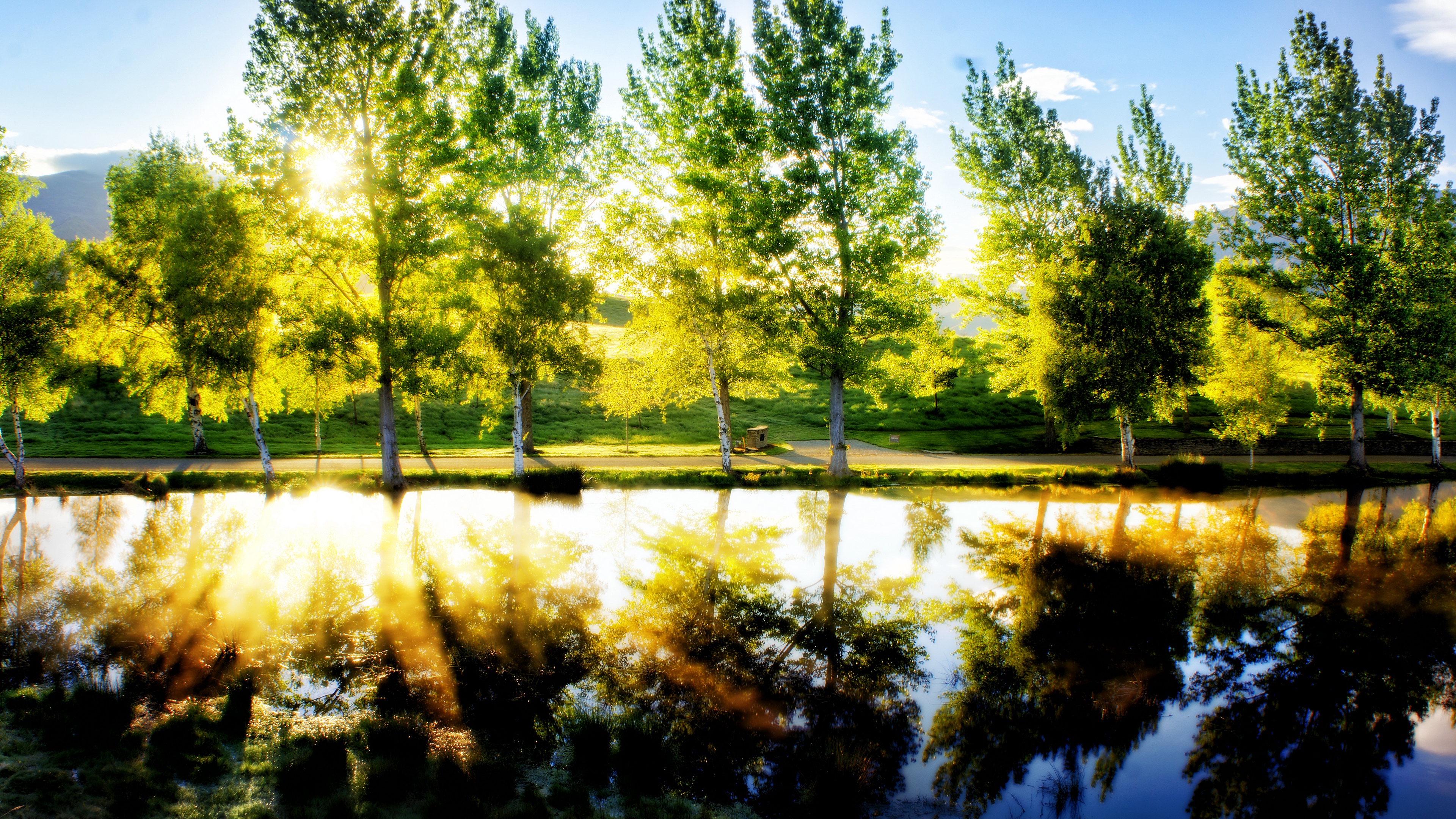 4K trees and water with sunlight reflection HD Wallpaper