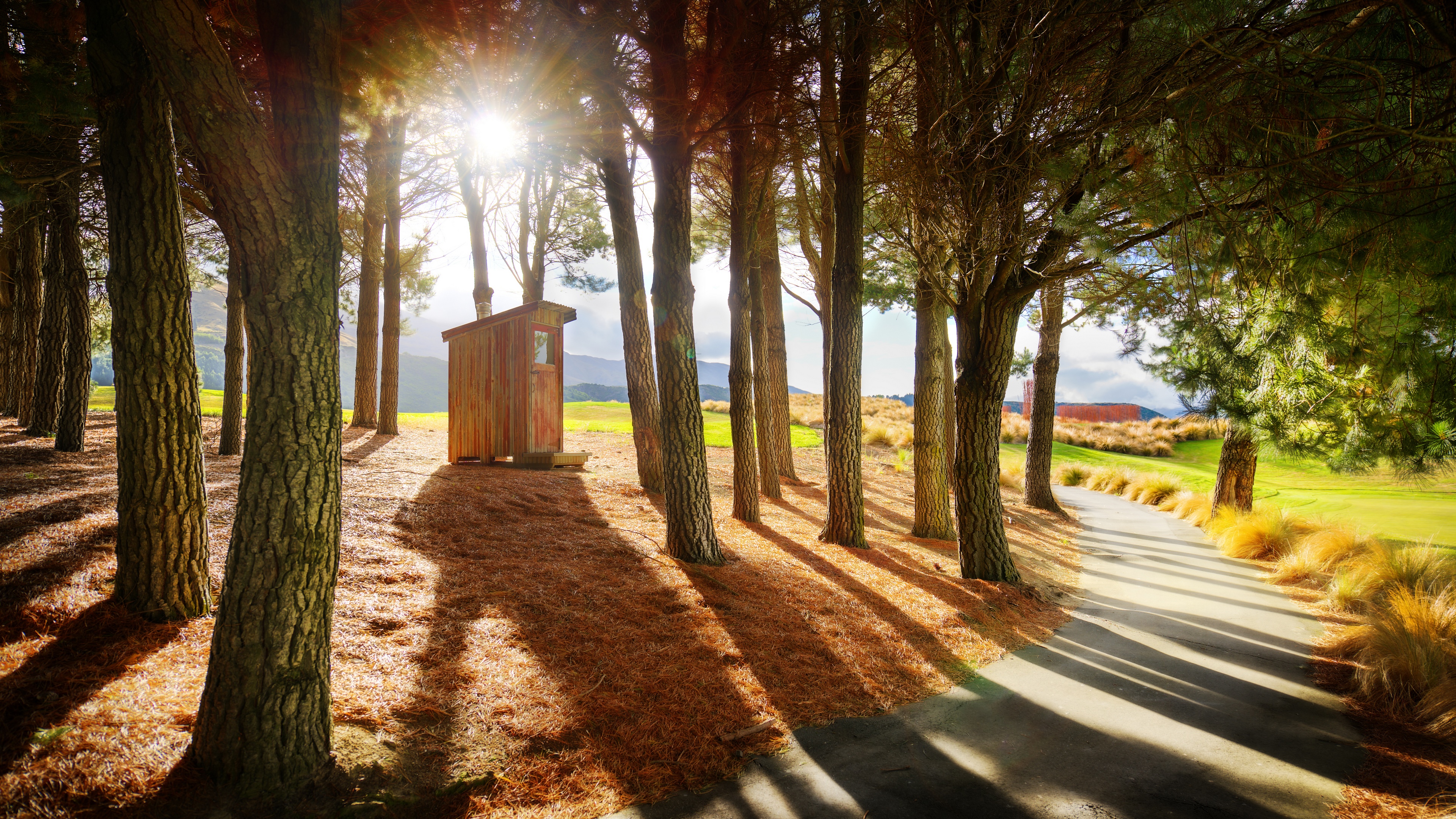 4K Queenstown New Zealand Trees and Shed HD Wallpaper