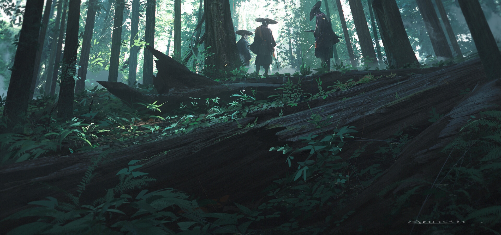 Samurai in a dense, sunlit forest HD Wallpaper