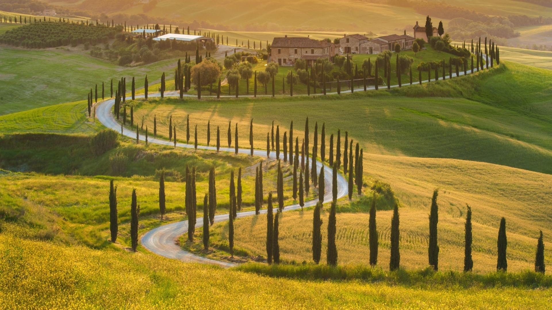 Winding road through Tuscan hills with cypress trees HD Wallpaper