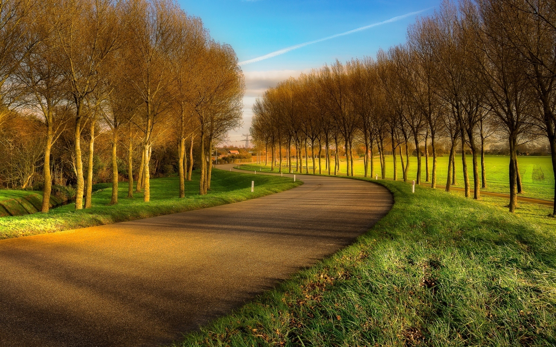 Curving road lined with trees and green fields HD Wallpaper