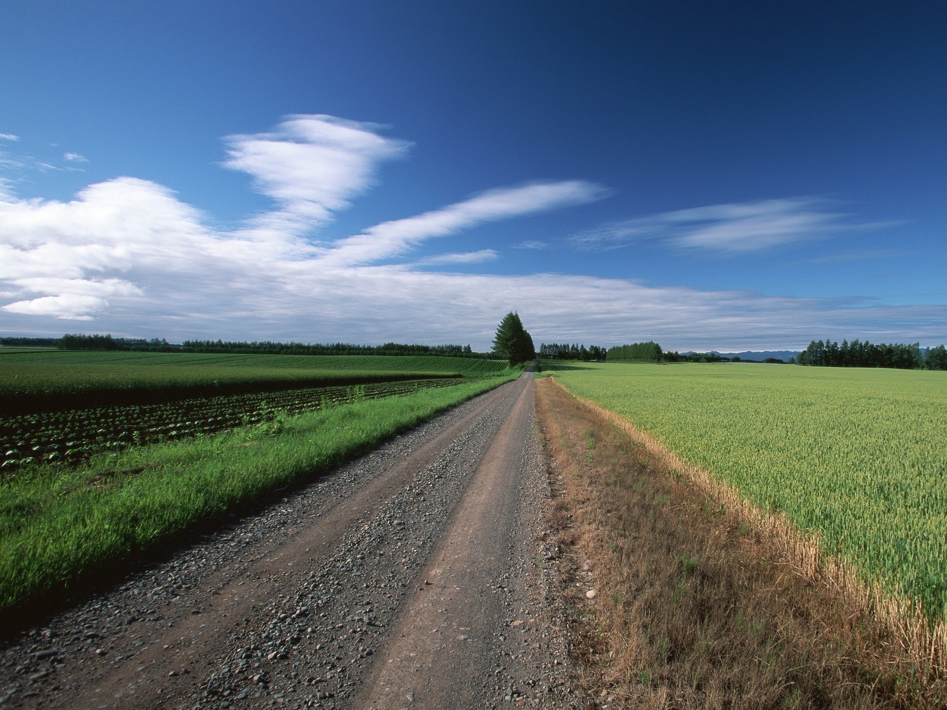 Gravel road through green fields under a blue sky HD Wallpaper