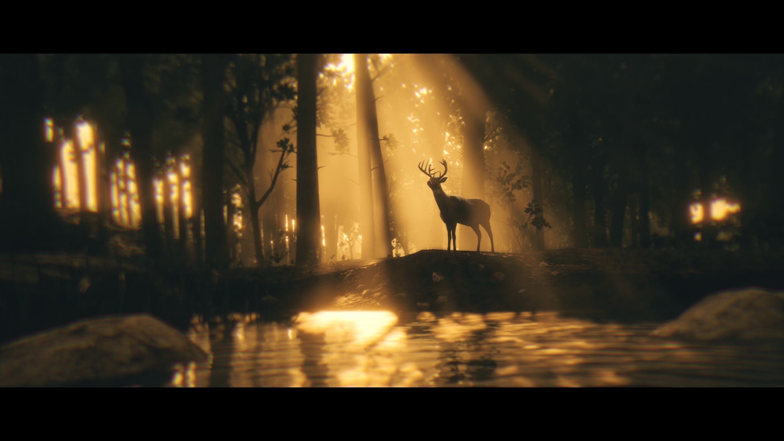 Deer in a sunlit forest in Red Dead Redemption 2 HD Wallpaper