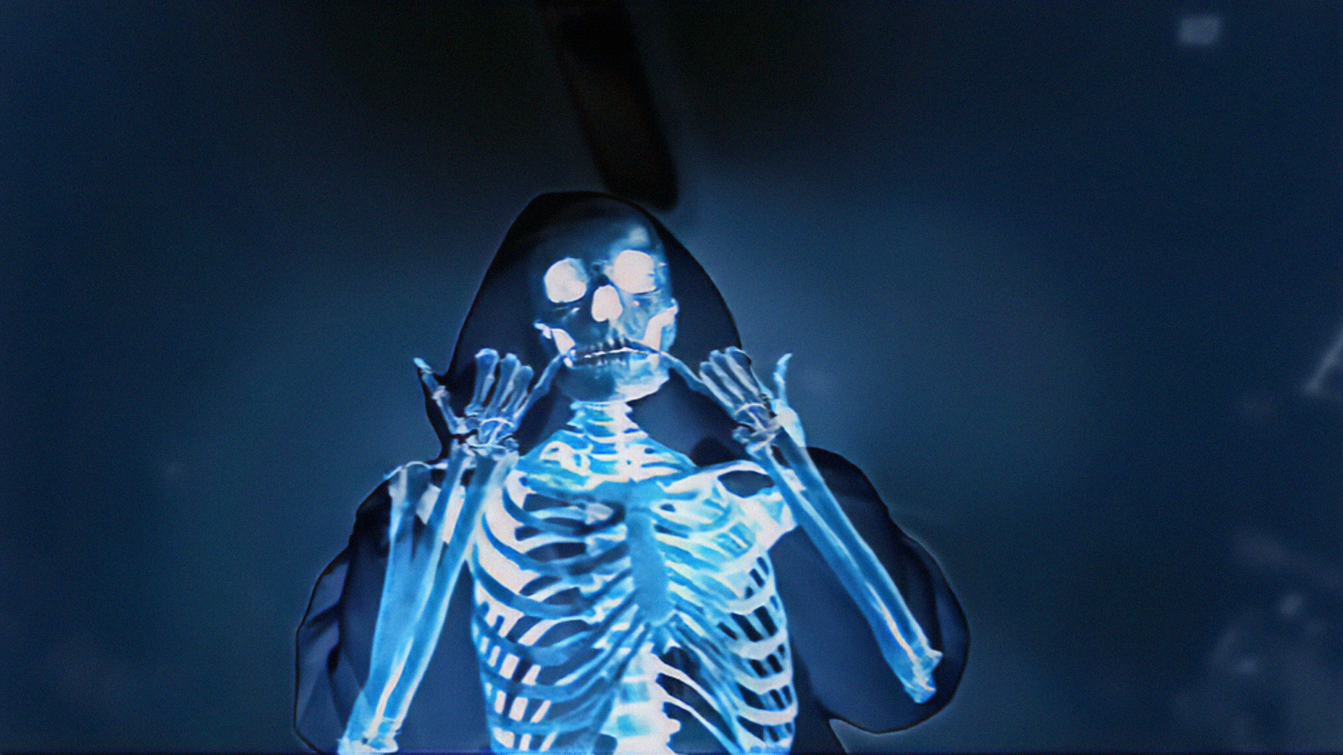 Rondodasosa skeleton in a hooded robe HD Wallpaper