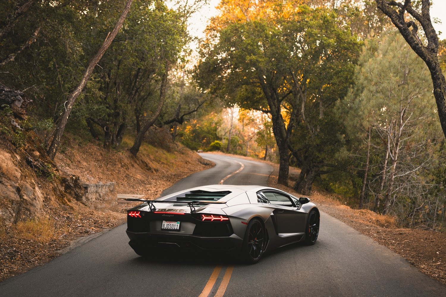 Lamborghini Aventador on a winding road through trees HD Wallpaper