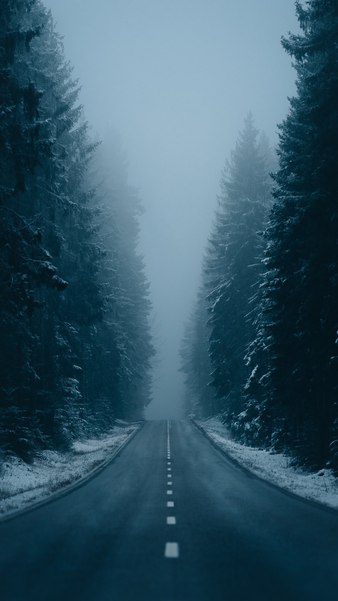 A lonely road through a snowy winter forest HD Phone Wallpaper