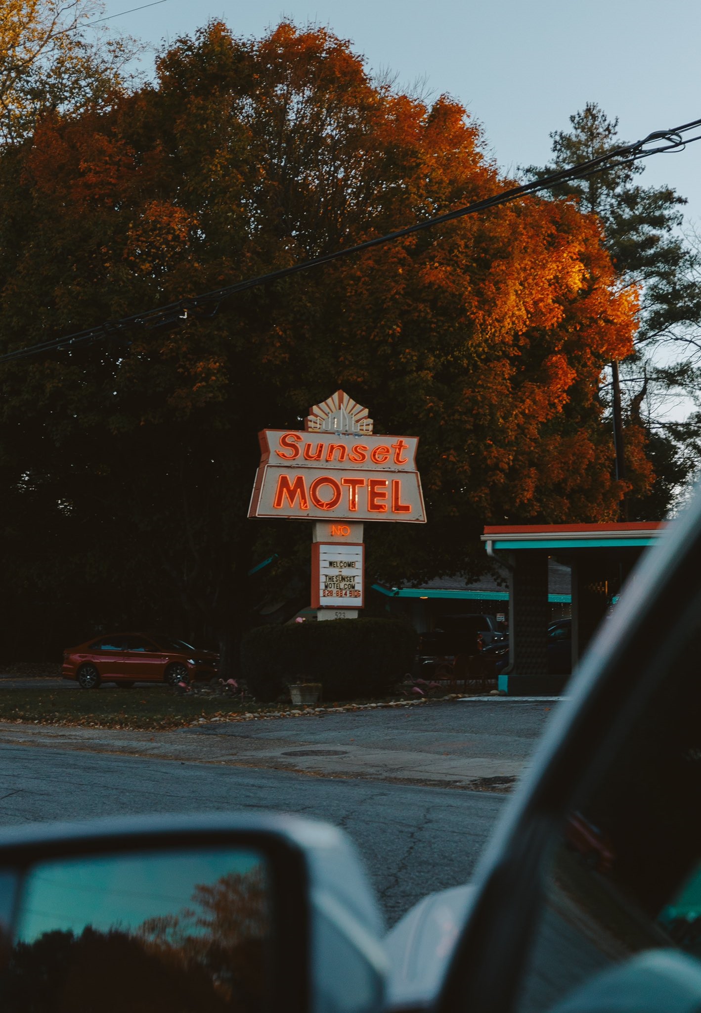 Sunset Motel neon sign in fall HD Phone Wallpaper