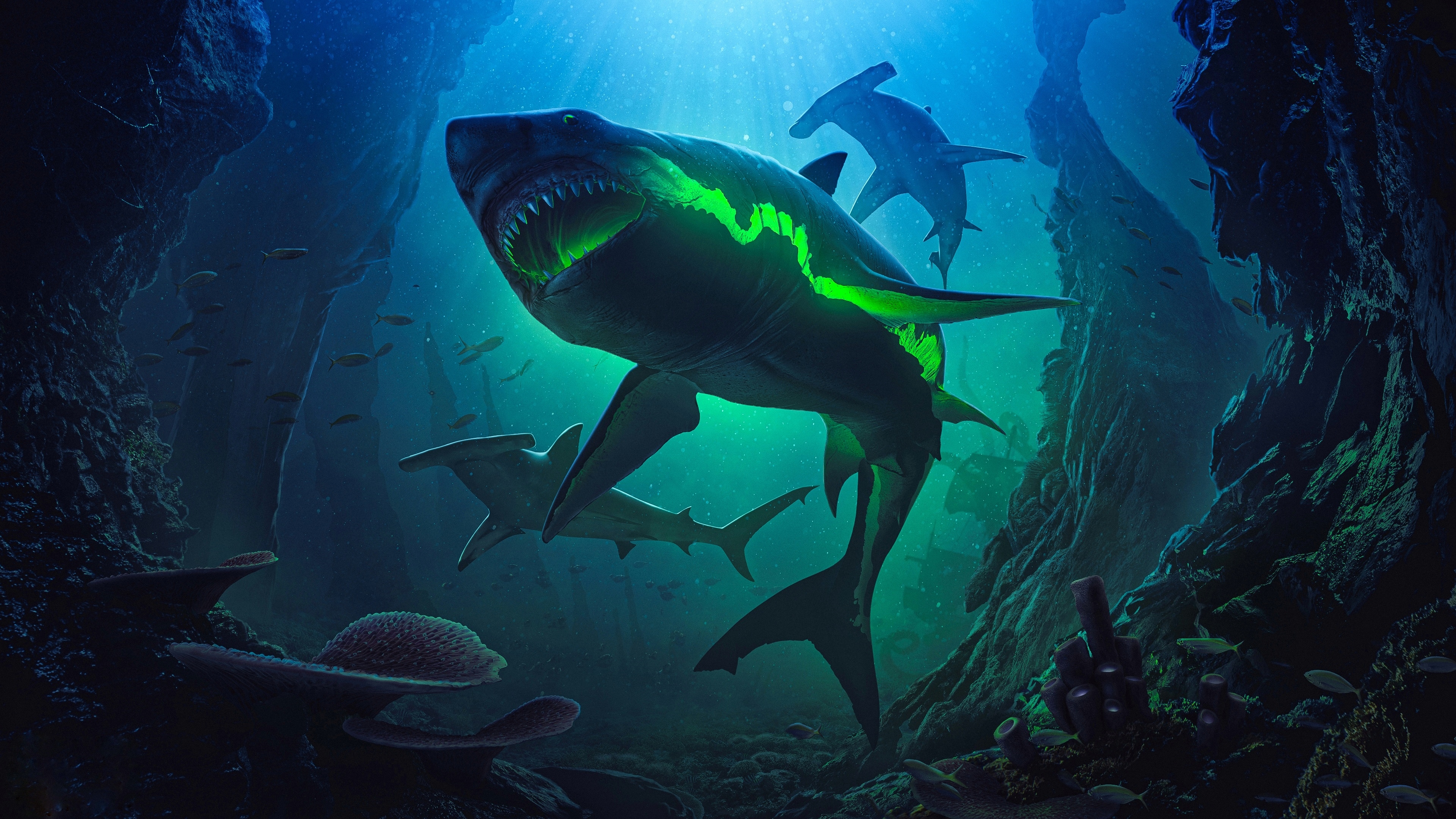 4K Glowing Shark and Hammerhead Sharks Underwater HD Wallpaper