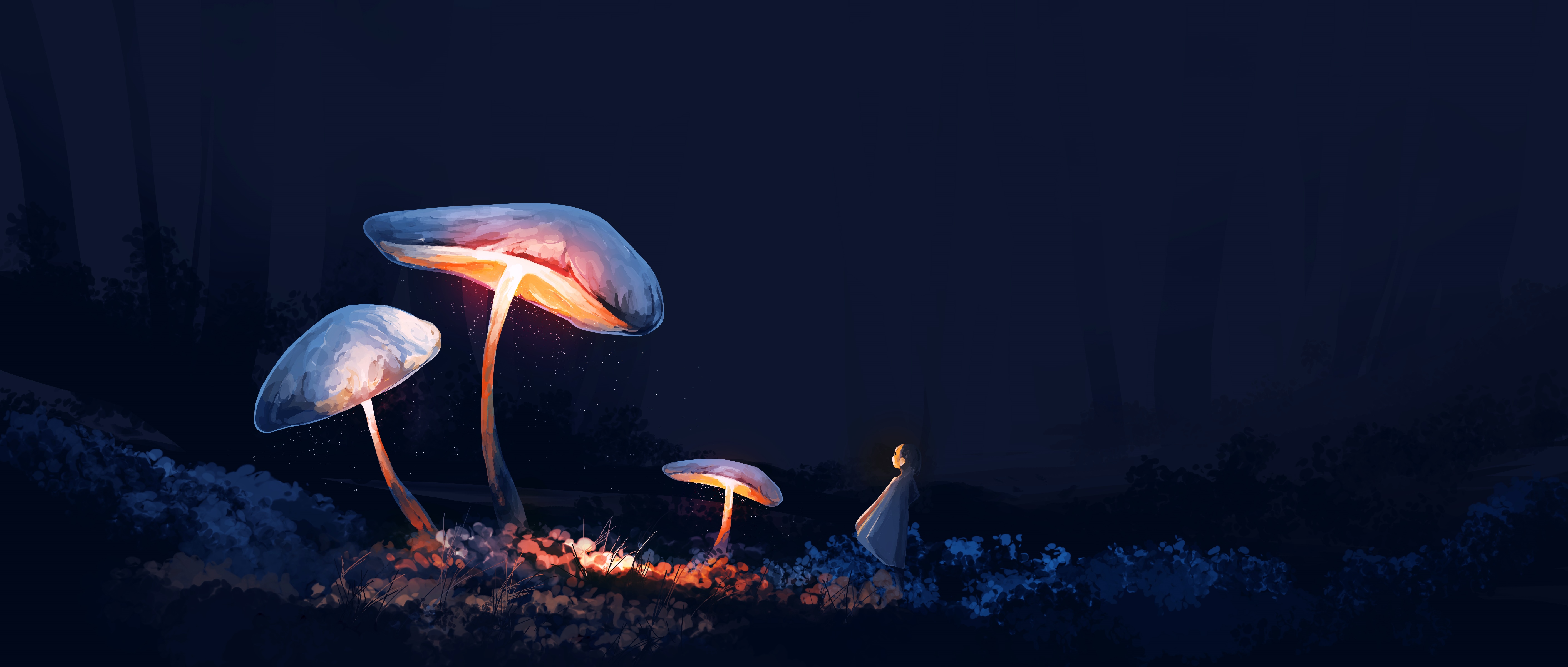 4K glowing mushrooms in a dark forest at night HD Wallpaper