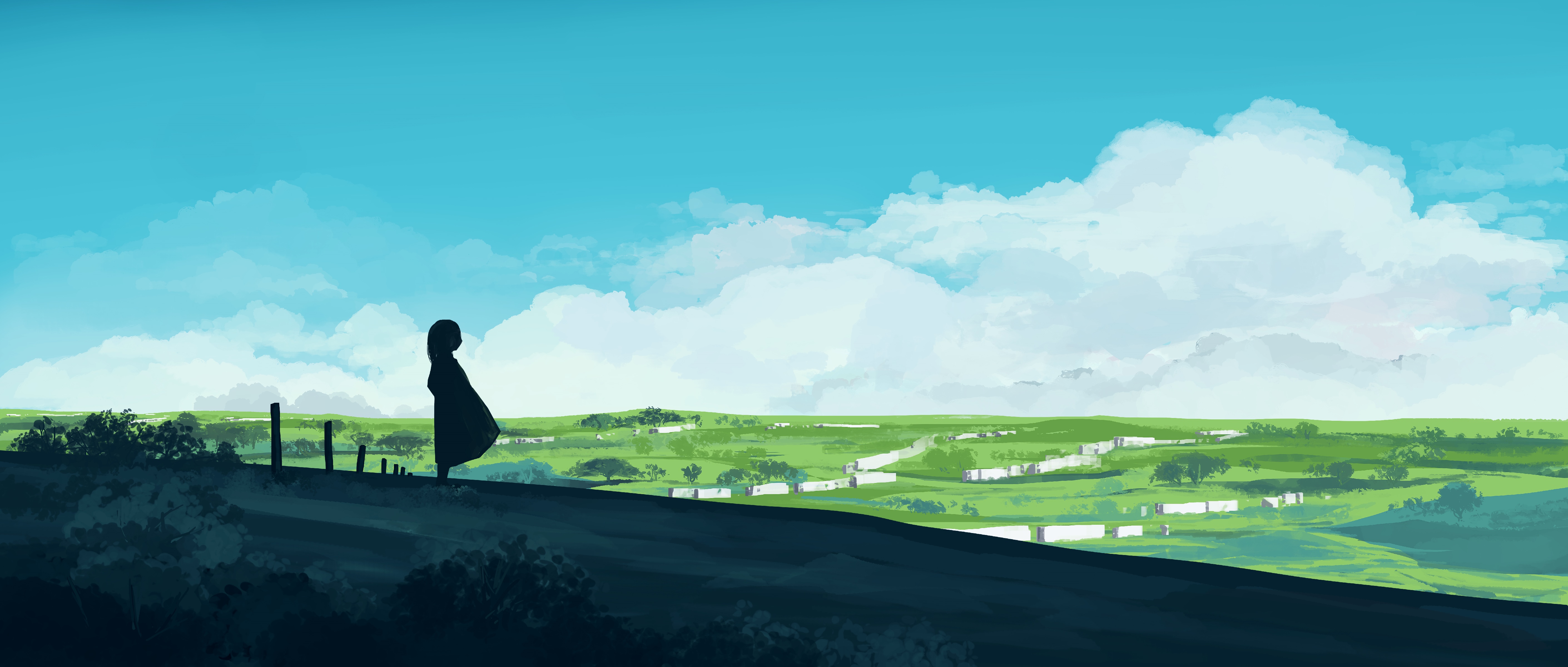 Anime sky with a girl silhouette overlooking a village HD Wallpaper