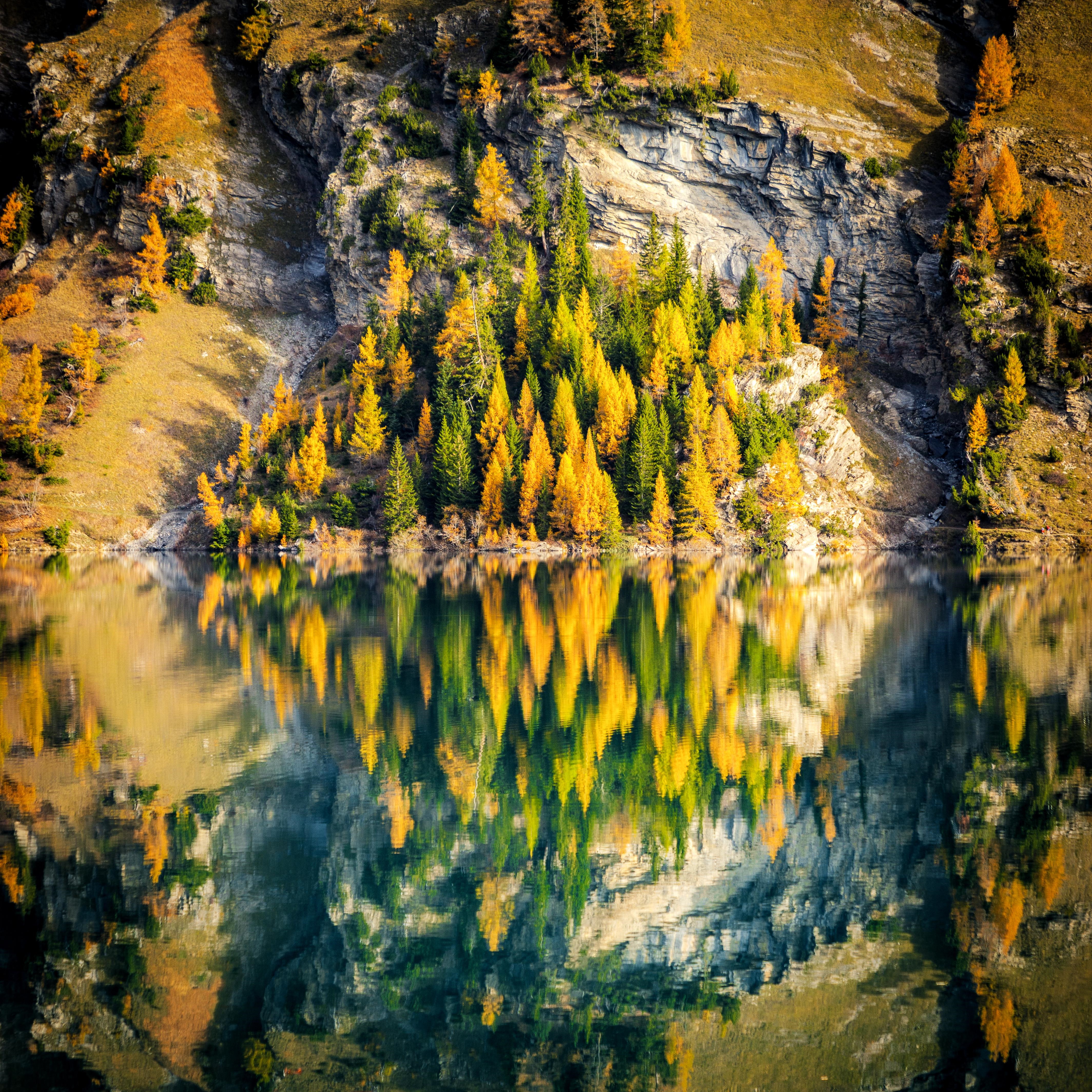 Autumn trees reflected in a lake in the Alps HD Wallpaper