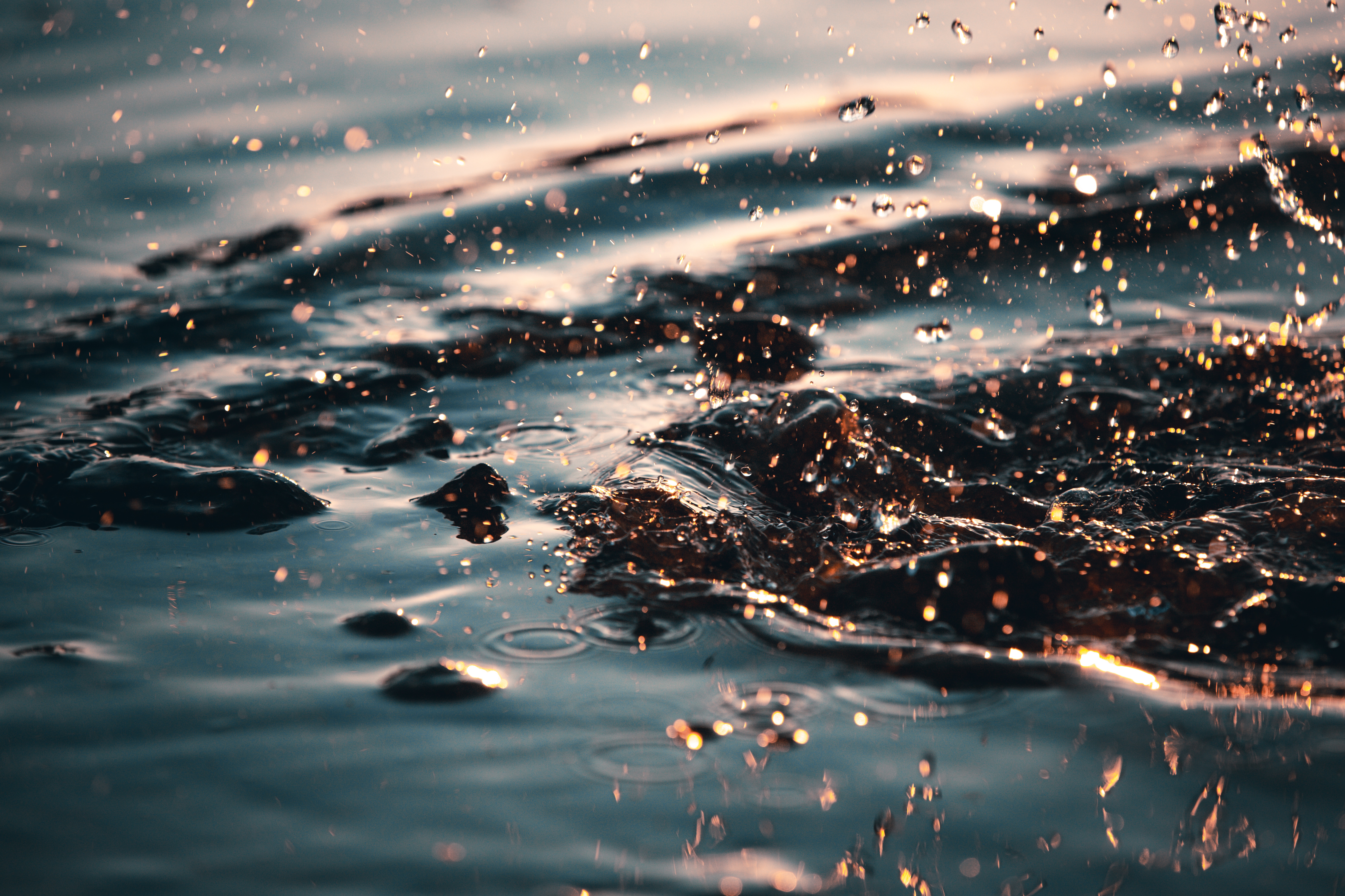Water drops splashing in water with golden light HD Wallpaper