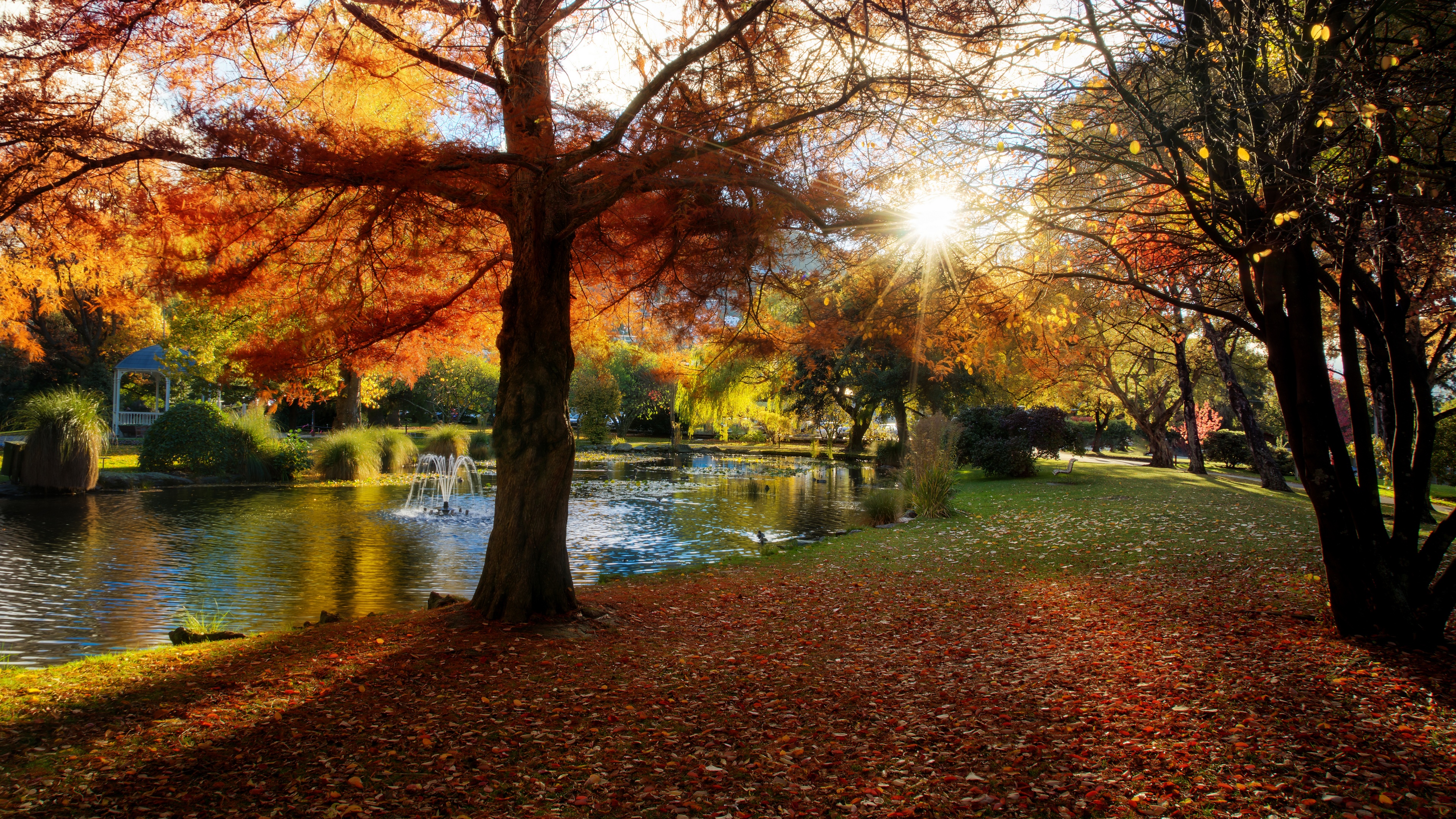 Autumn park in Queenstown, New Zealand with lake and fountain HD Wallpaper