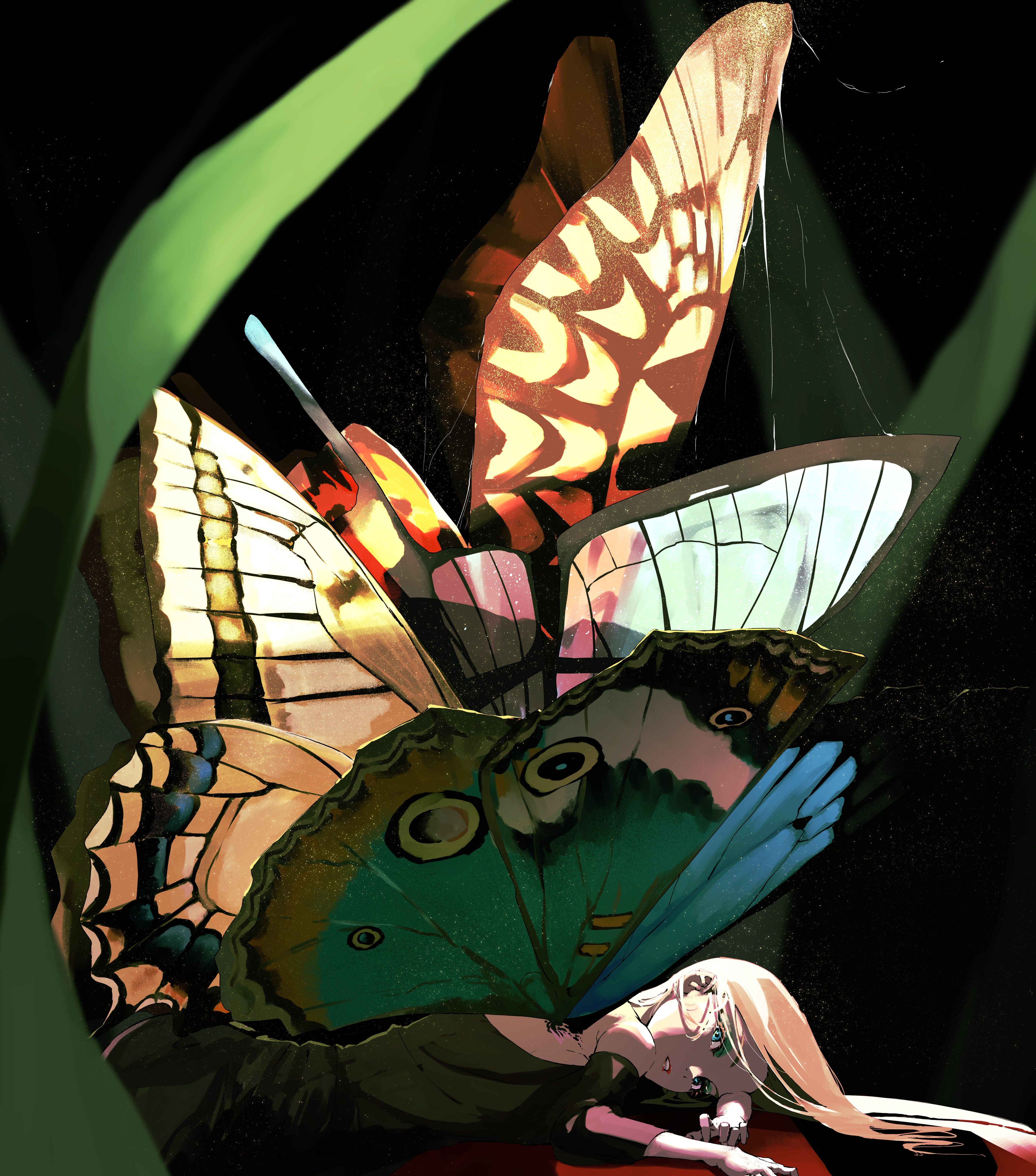 4K Butterfly Wings and Nico Tina HD Phone Wallpaper