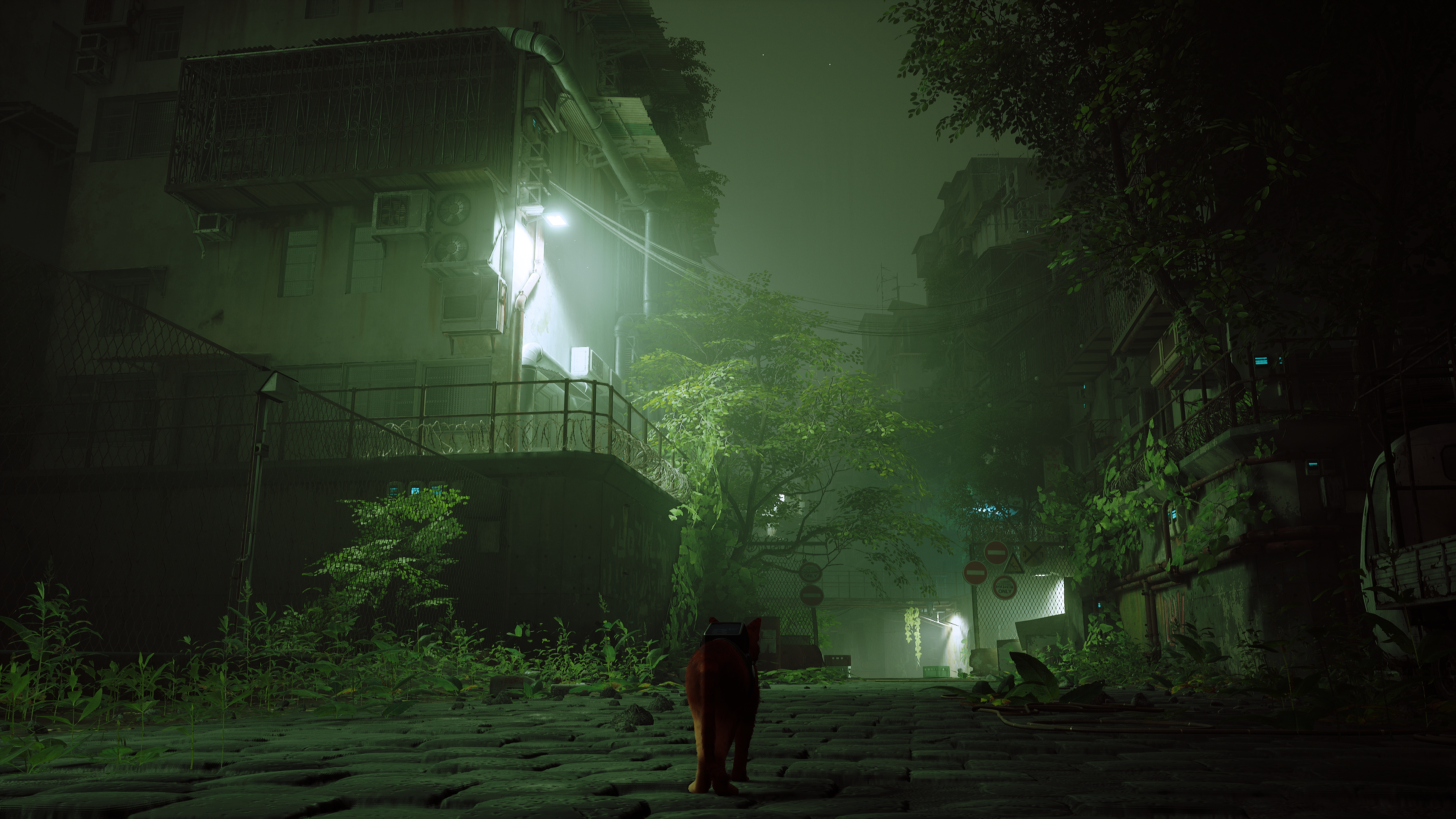4K Stray video game cat in alley HD Wallpaper