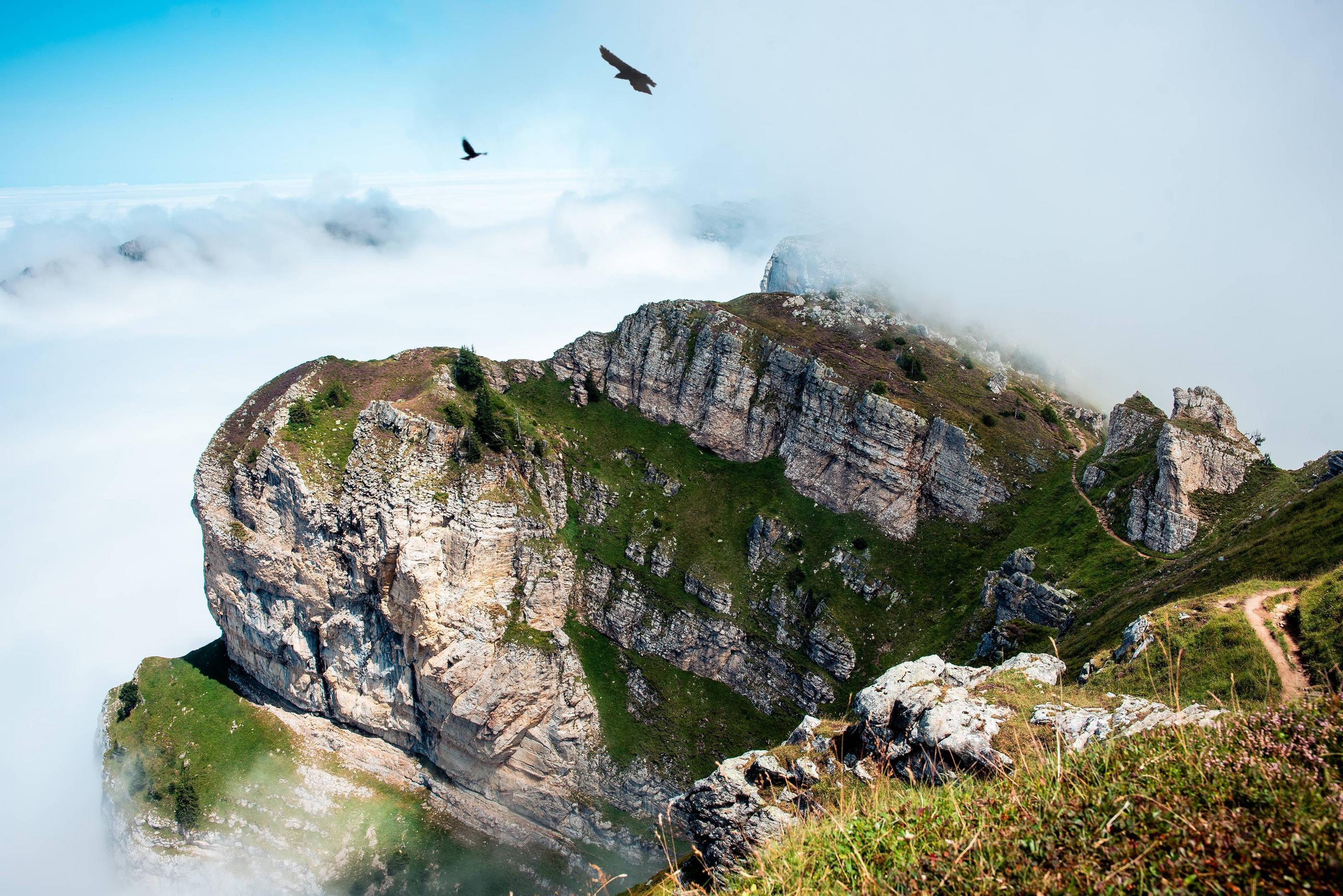 Birds flying over the Bernese Alps in Switzerland HD Wallpaper