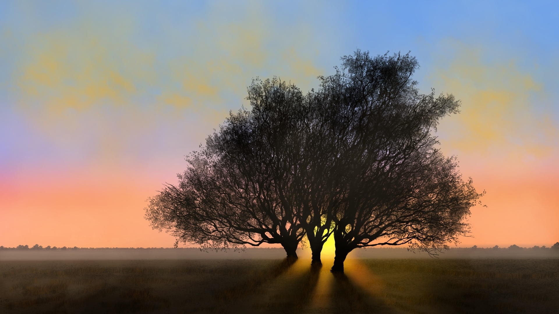 Digital painting of trees at sunset HD Wallpaper