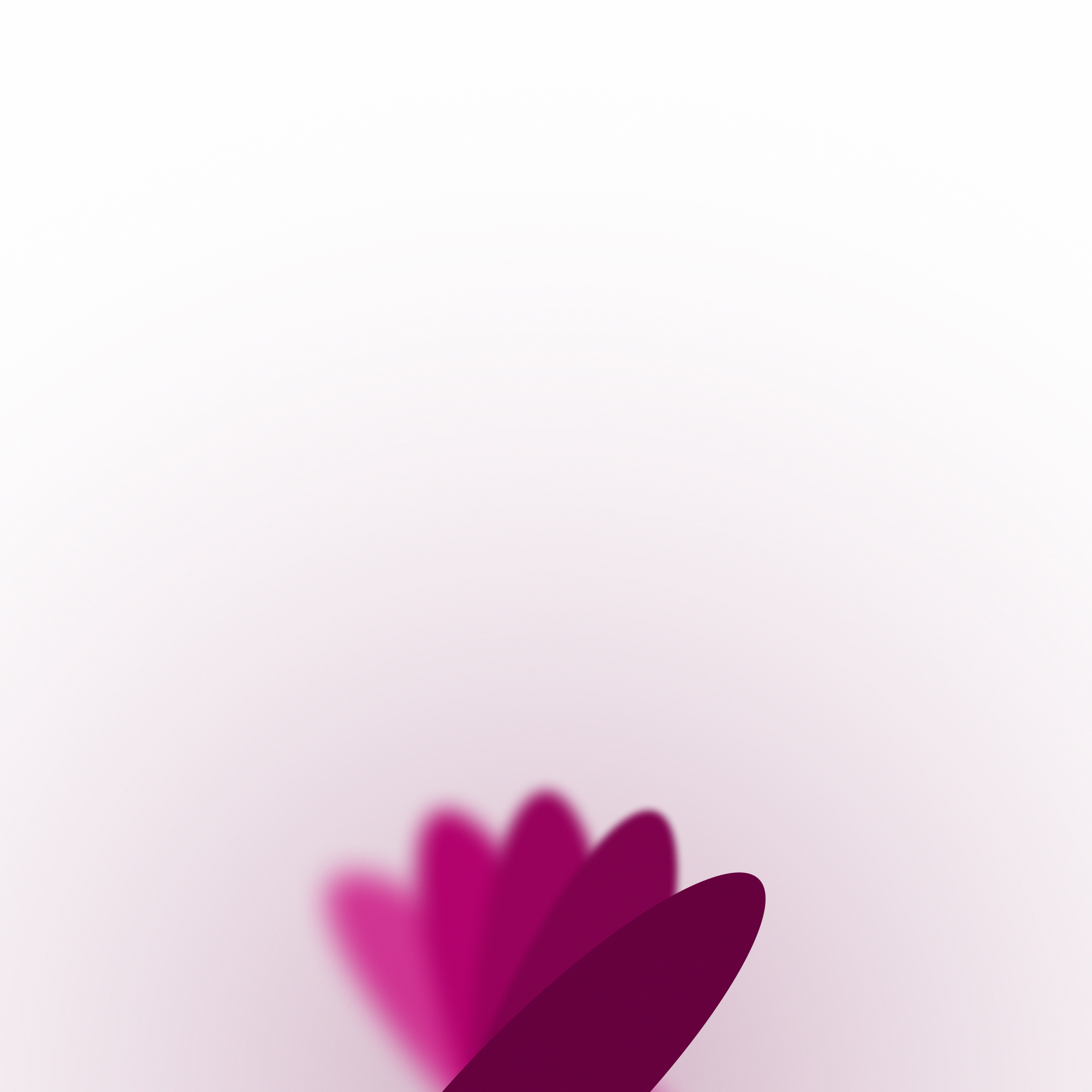 Purple flower petals on a gradient background HD Wallpaper