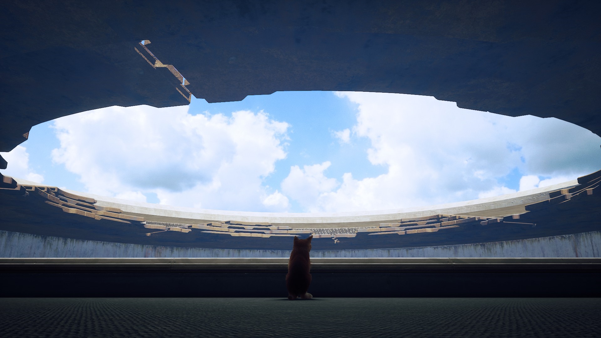 A stray cat sits in a ruined circular structure looking at the sky HD Wallpaper