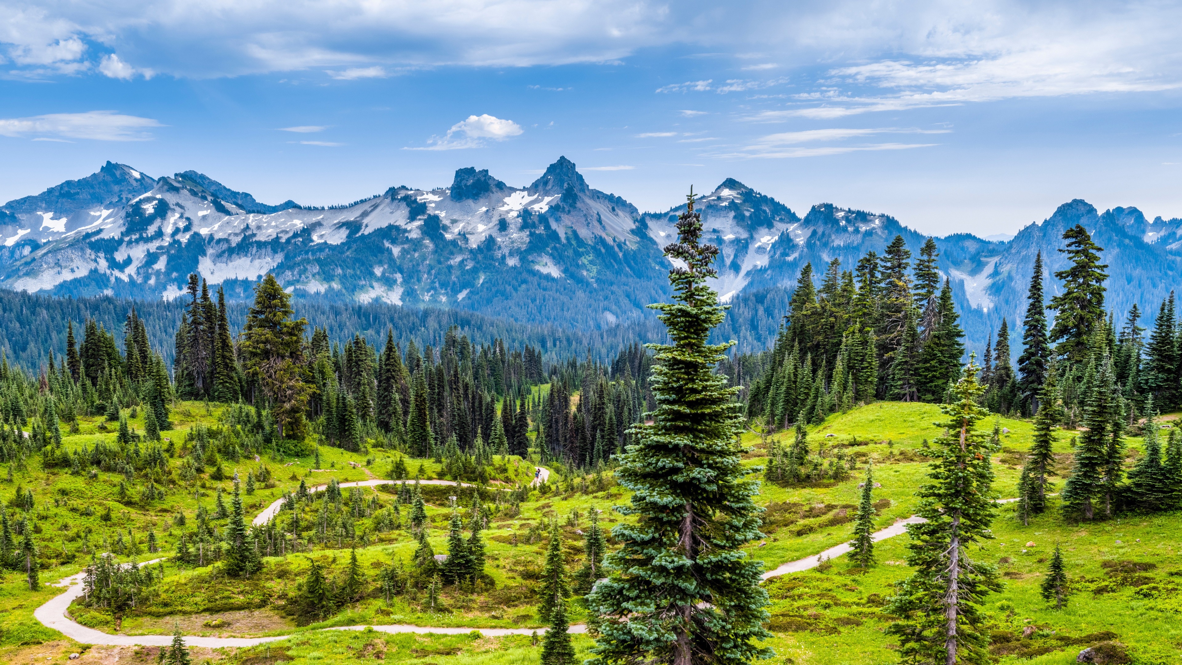 4K landscape of snow-capped mountains and evergreen forest HD Wallpaper