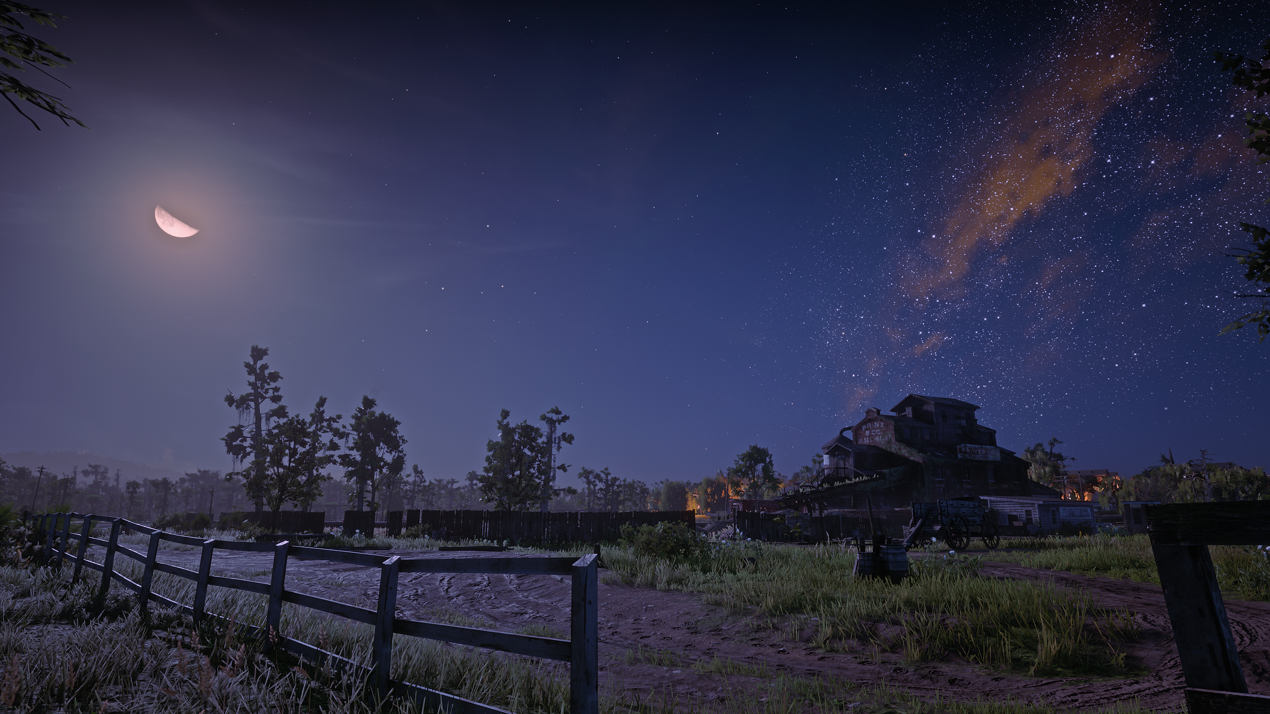 Red Dead Redemption 2 night landscape with moon and stars HD Wallpaper