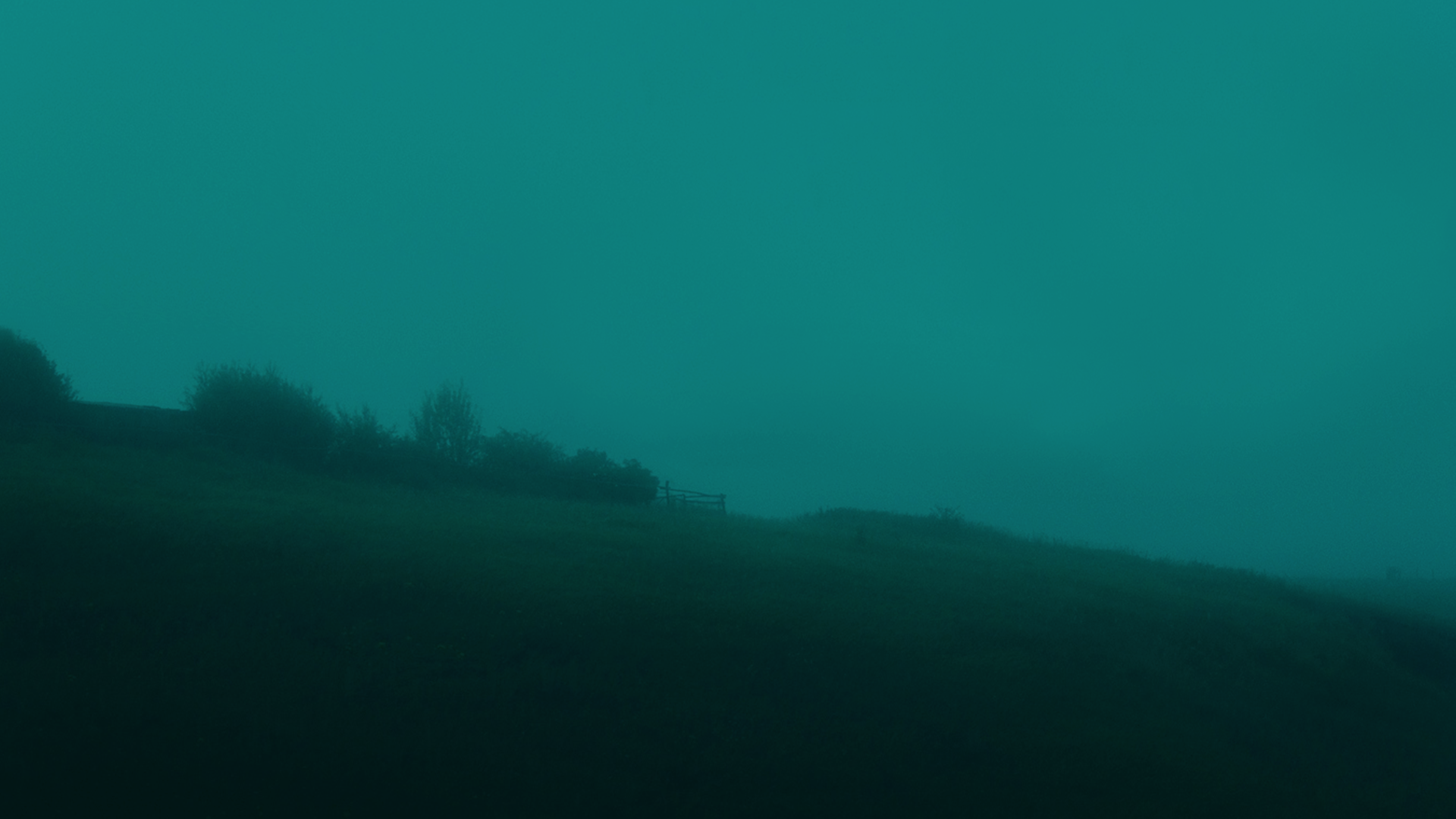 Misty landscape with trees and a fence HD Wallpaper