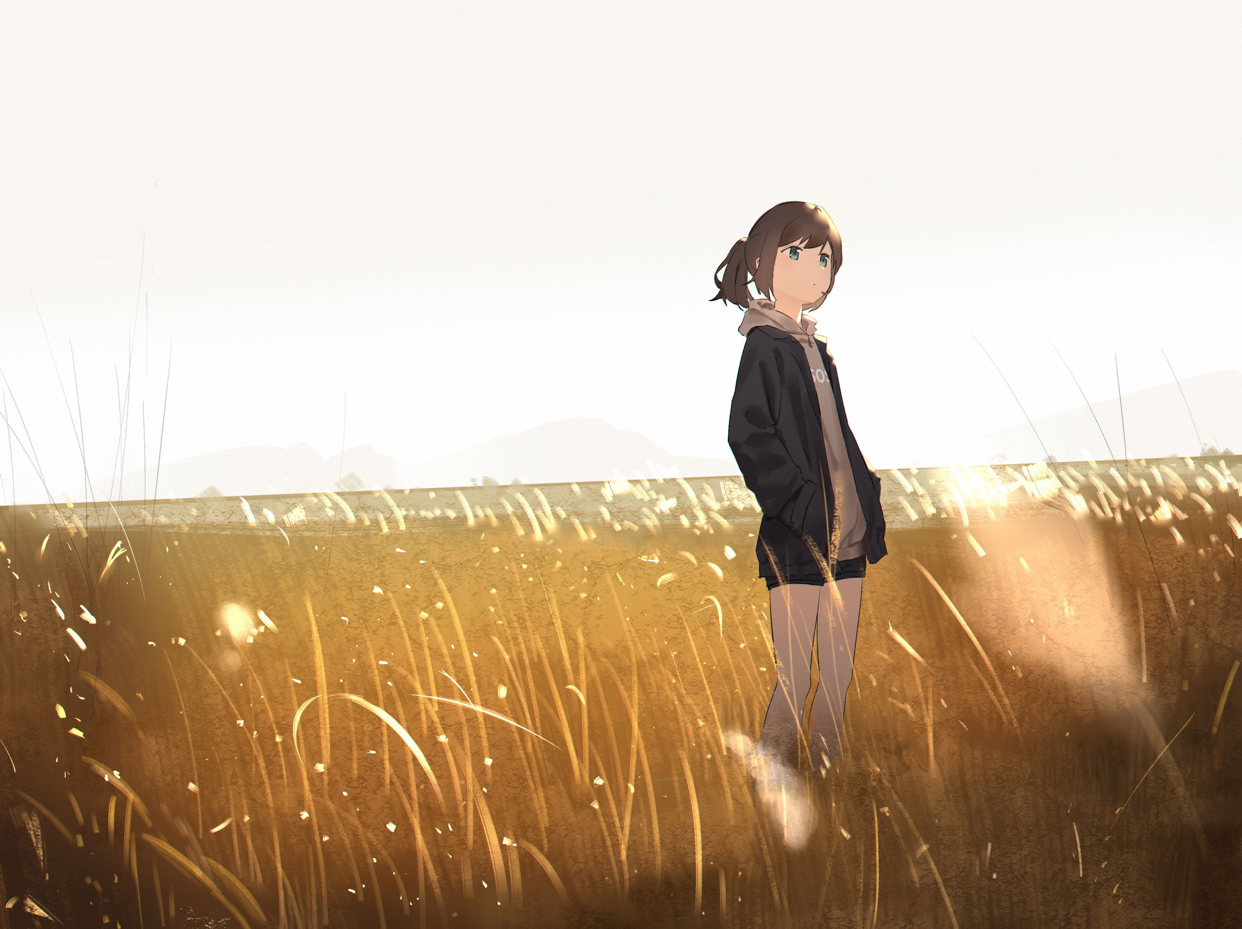 Girl in a field at sunset 4K HD Wallpaper