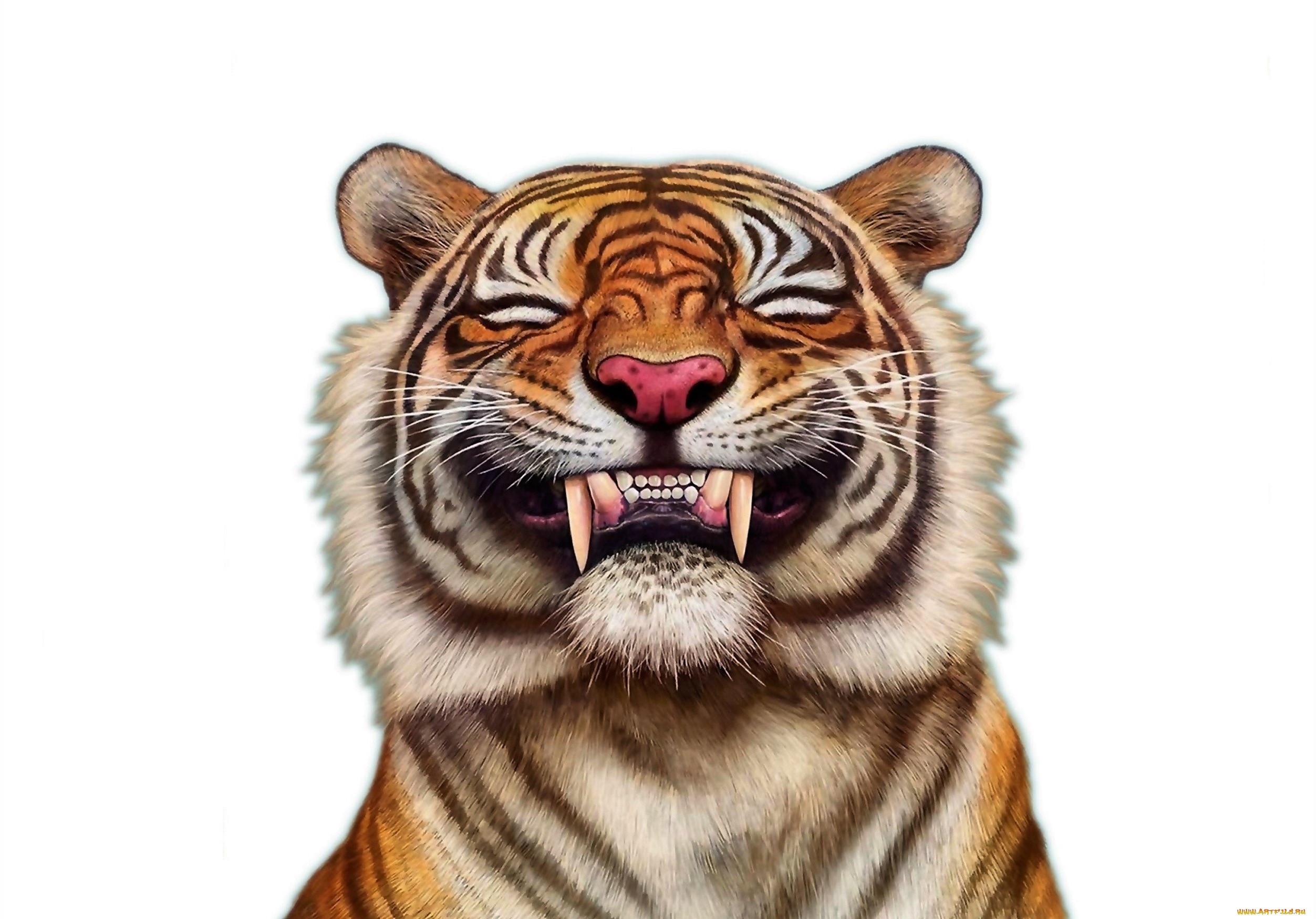 Artwork of a tiger with a wide grin HD Wallpaper
