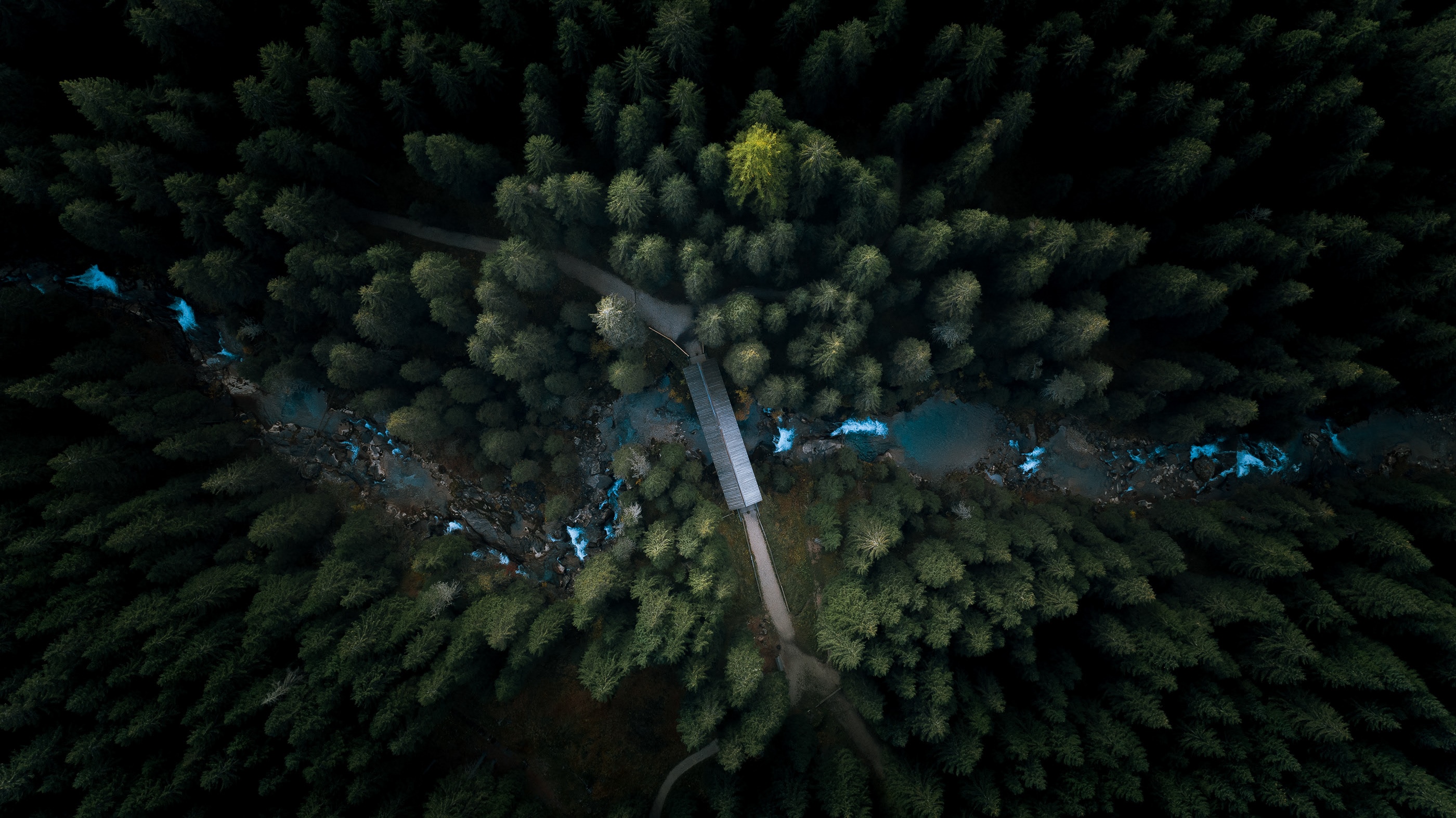 Aerial view of a forest with a bridge over a river HD Wallpaper