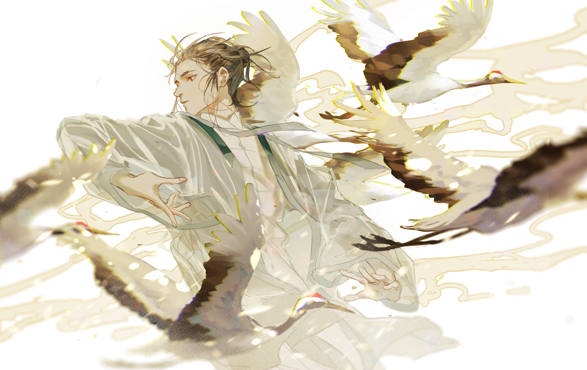 Anime boy with cranes in flight HD Wallpaper