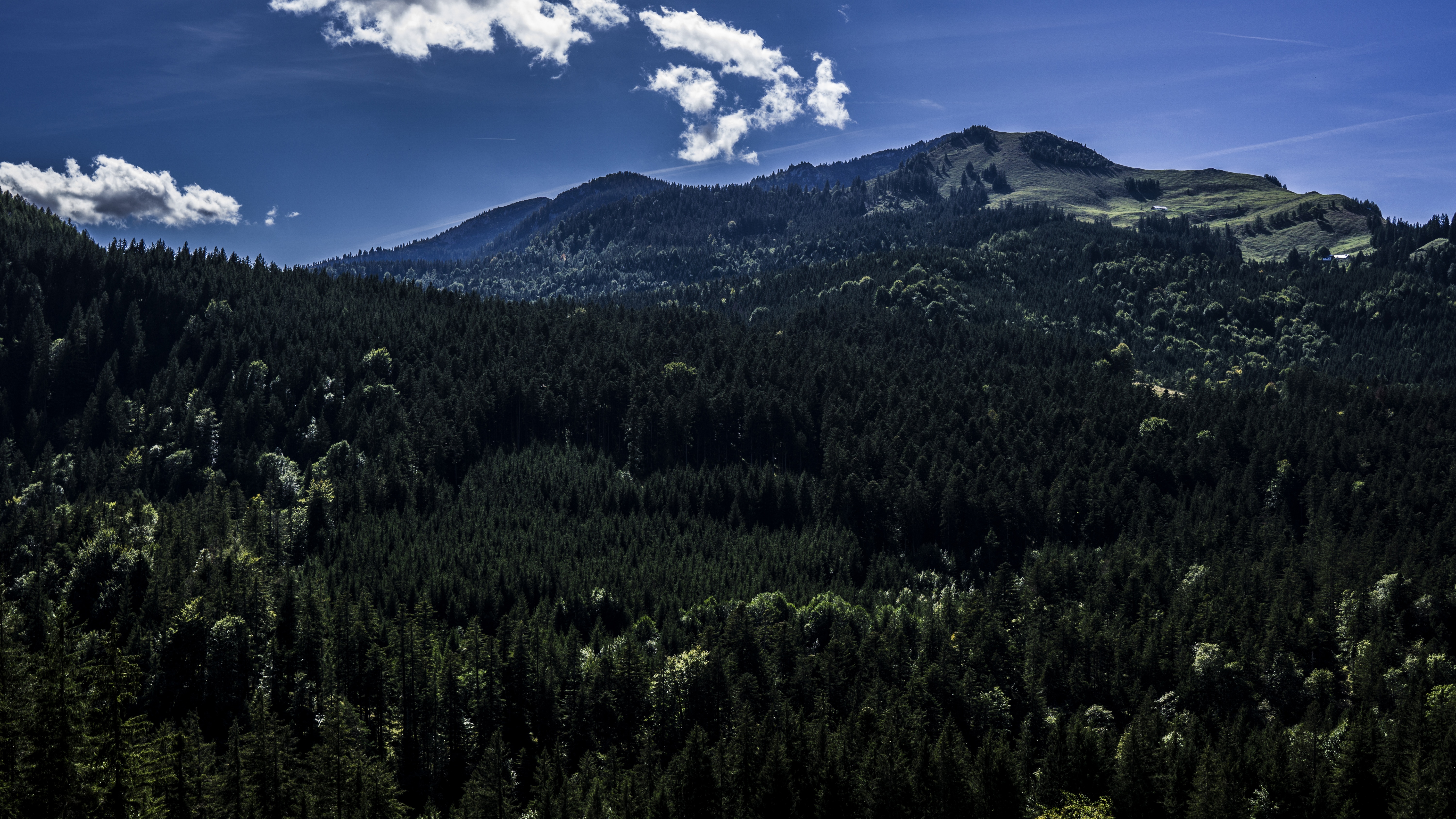 4K wide angle landscape of forest and mountains HD Wallpaper