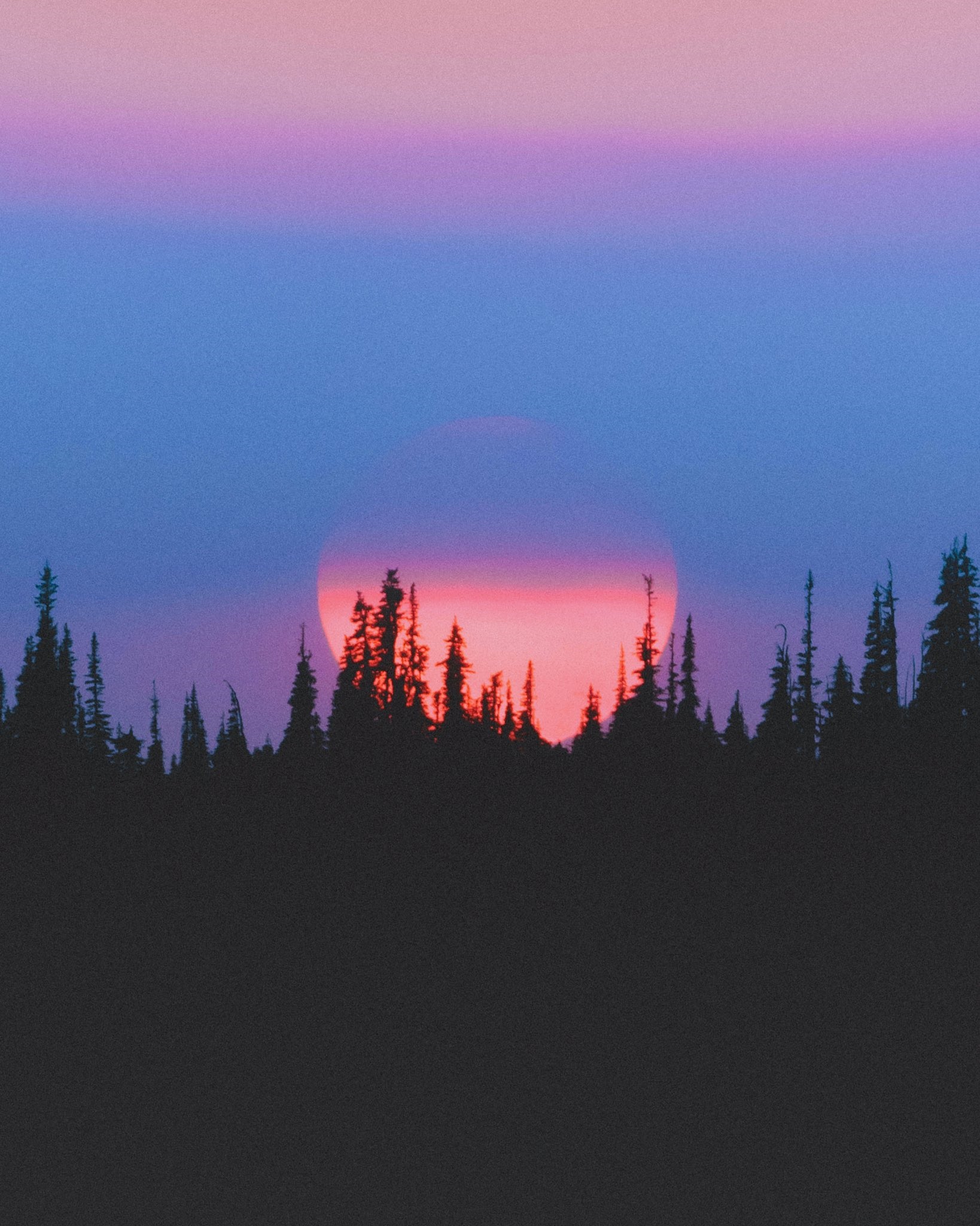 Sunset over a dark forest silhouette HD Phone Wallpaper