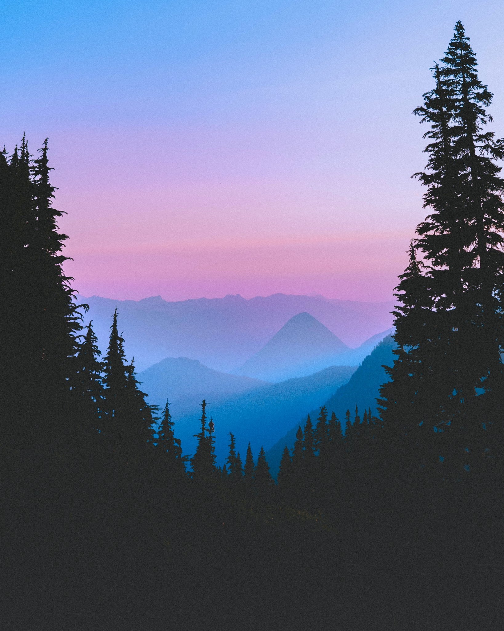 Mountains and pine trees at sunset HD Phone Wallpaper