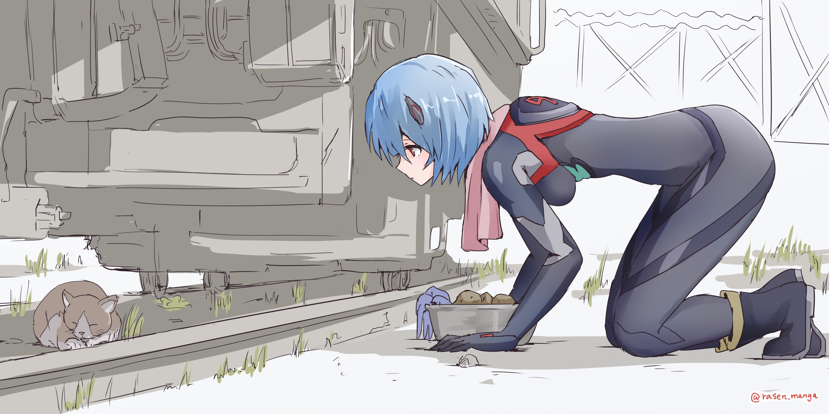 Rebuild of Evangelion: Rei Ayanami with a cat HD Wallpaper