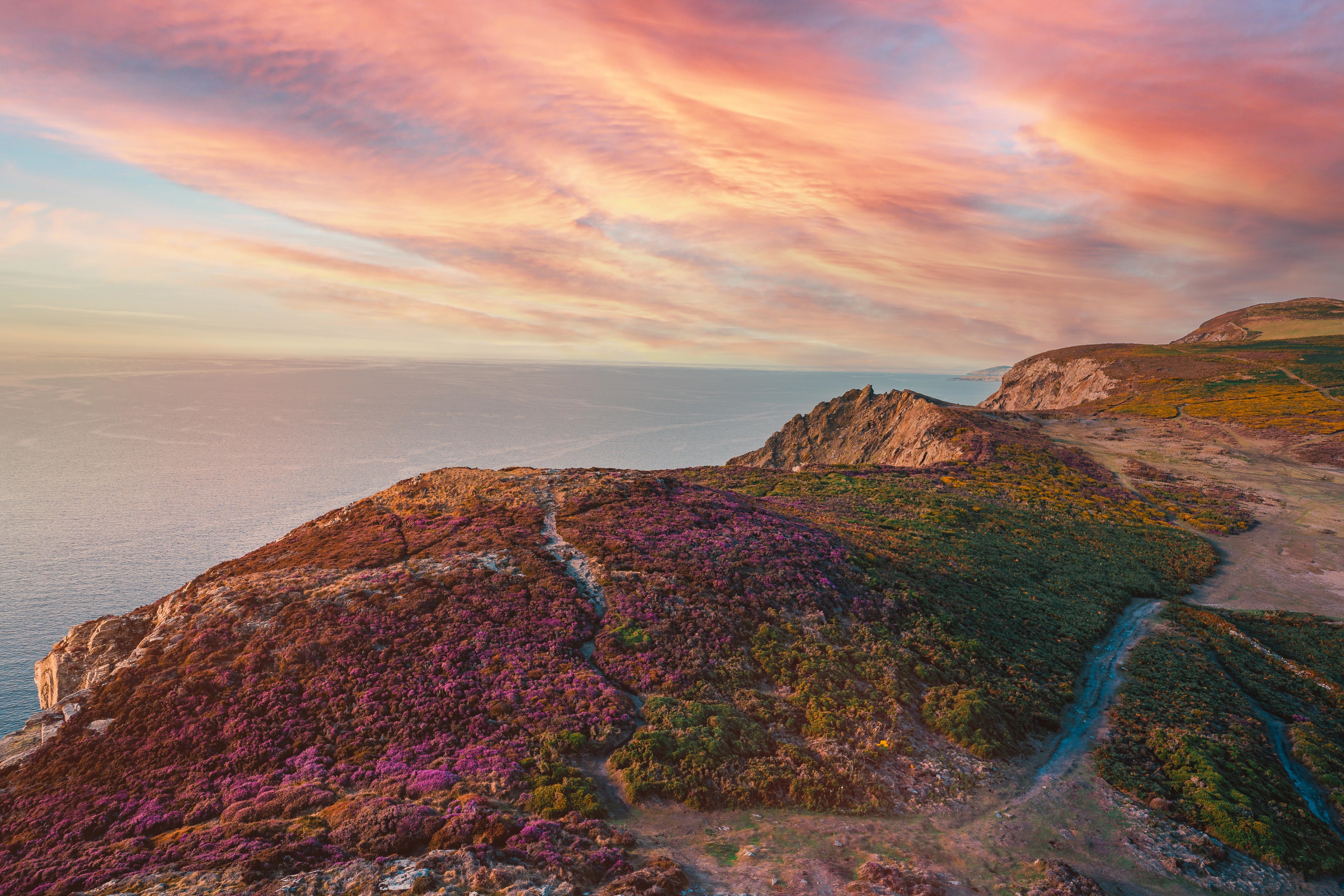 4K sunset over cliffs with flowers and sea HD Wallpaper