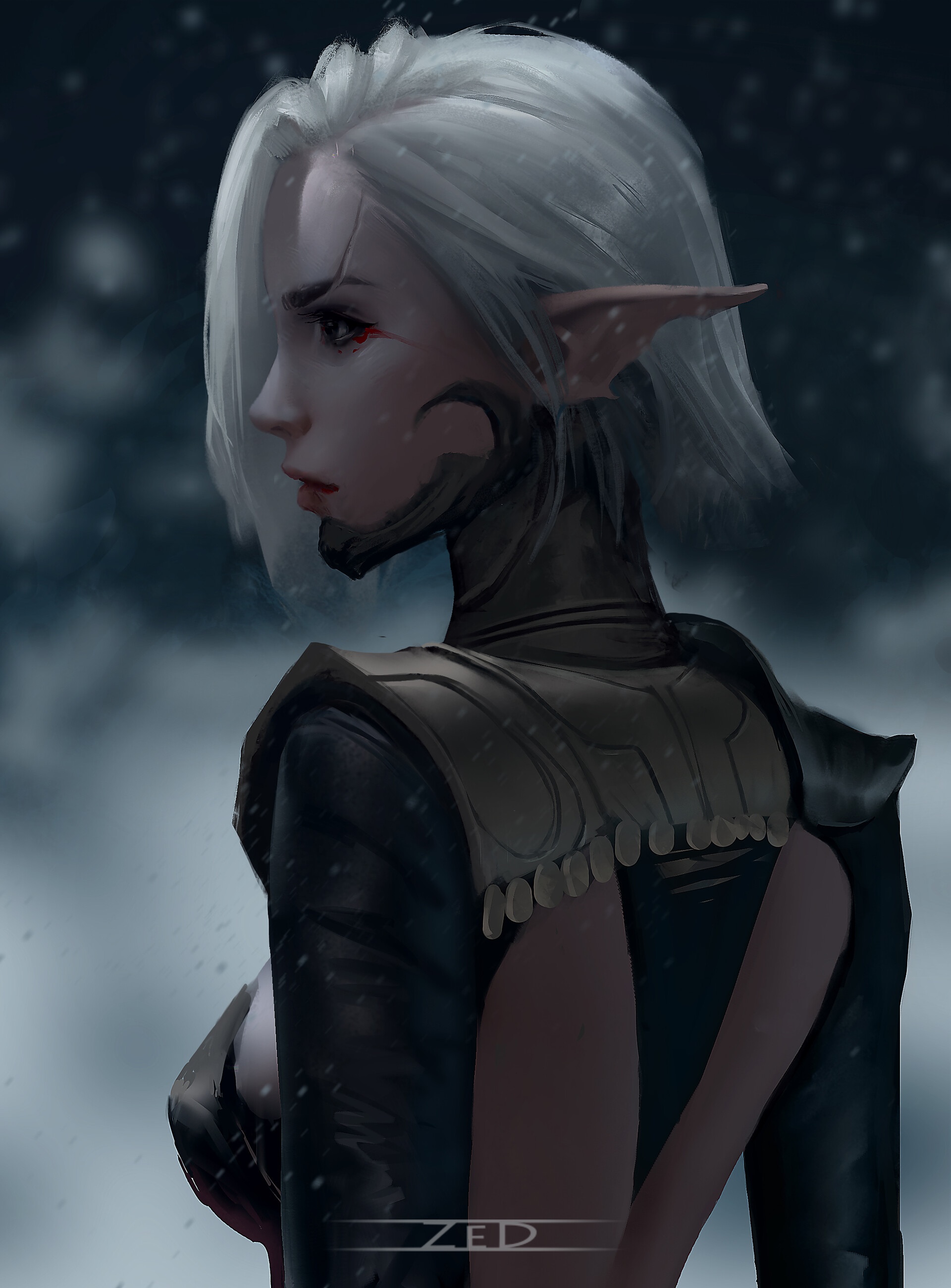 Elf woman with silver hair in profile HD Phone Wallpaper