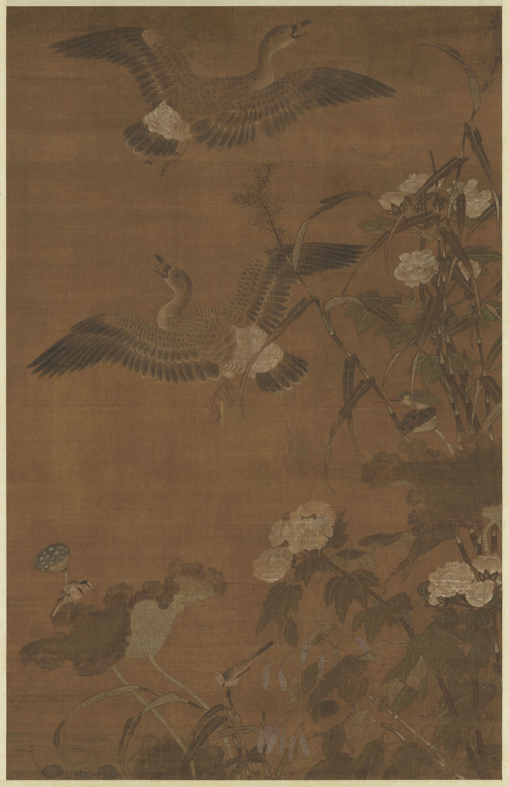 Two geese flying over lotus flowers and plants HD Phone Wallpaper