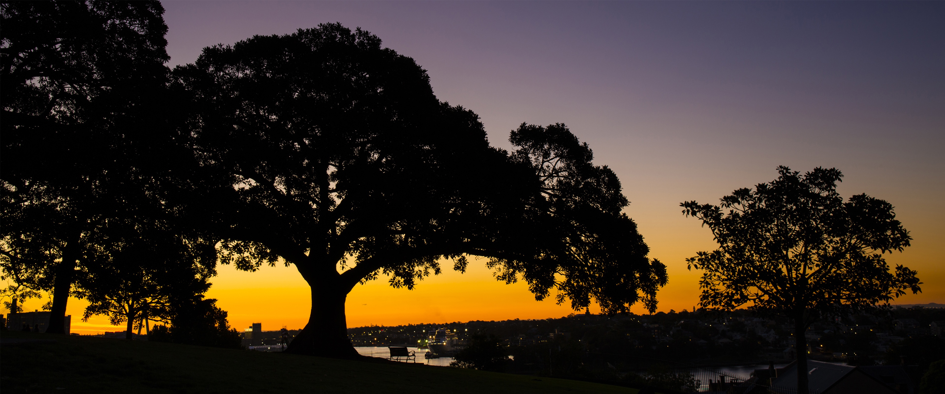 Silhouette of trees against sunset sky HD Wallpaper