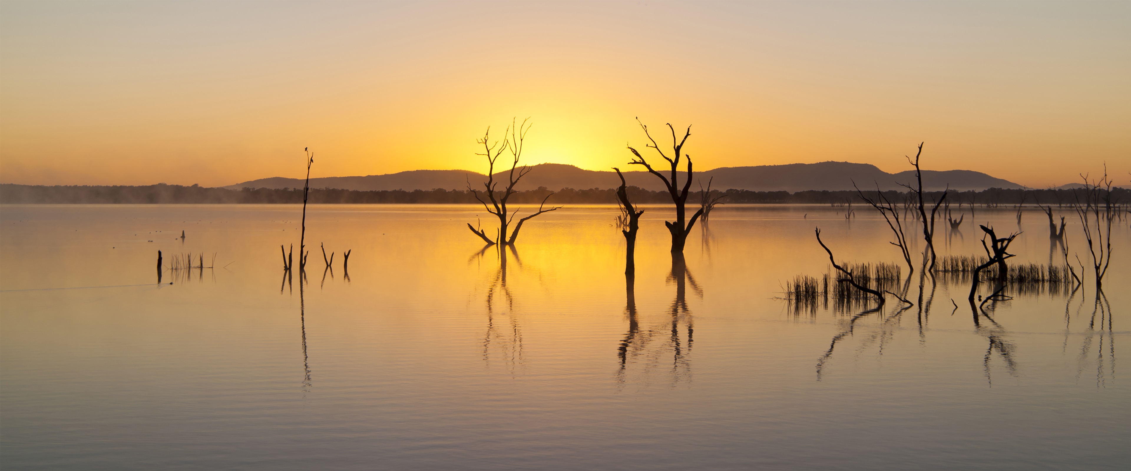 4K sunset over a calm lake with dead trees HD Wallpaper