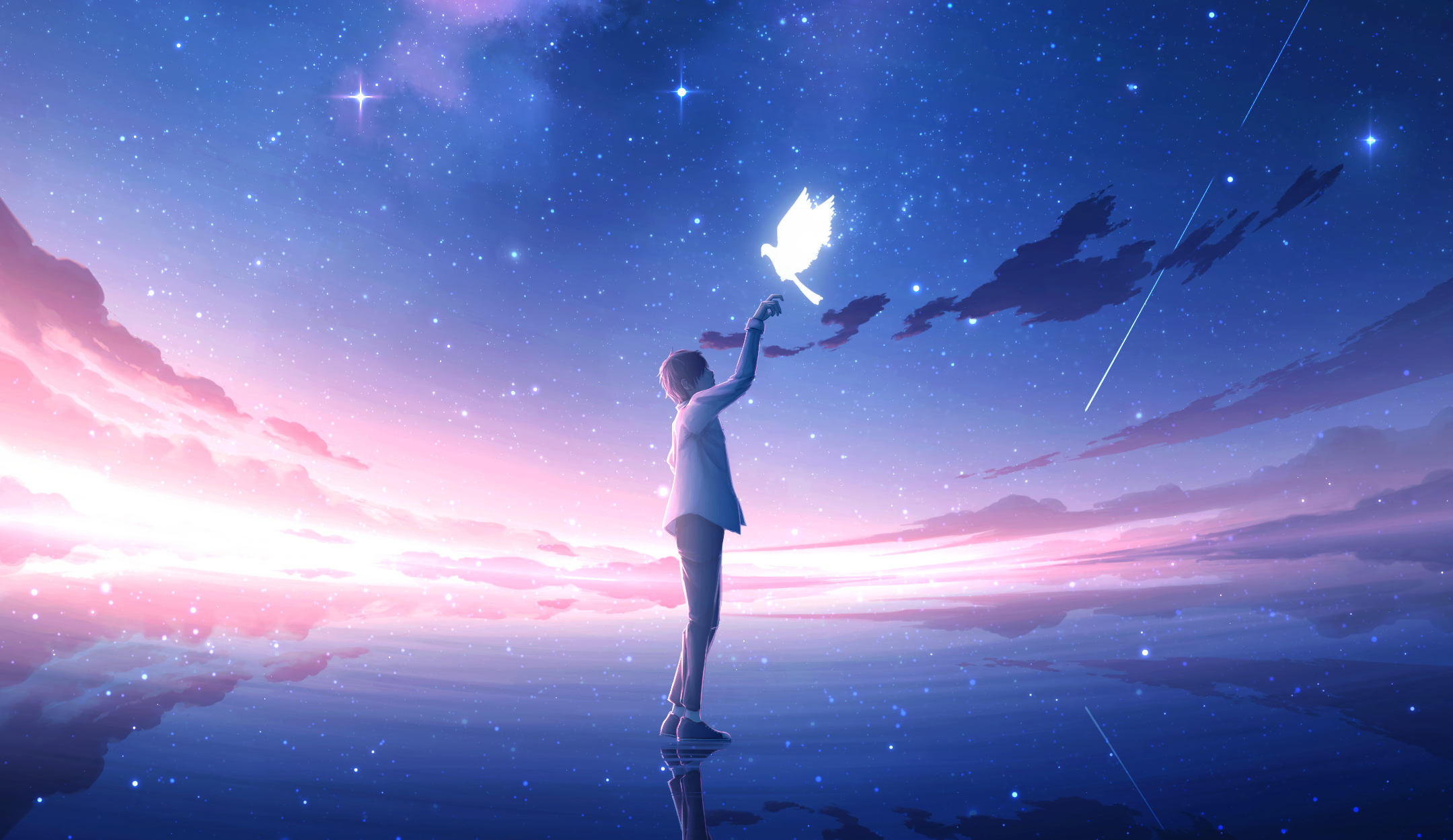 Anime boy reaching for a glowing bird under a starry sky HD Wallpaper